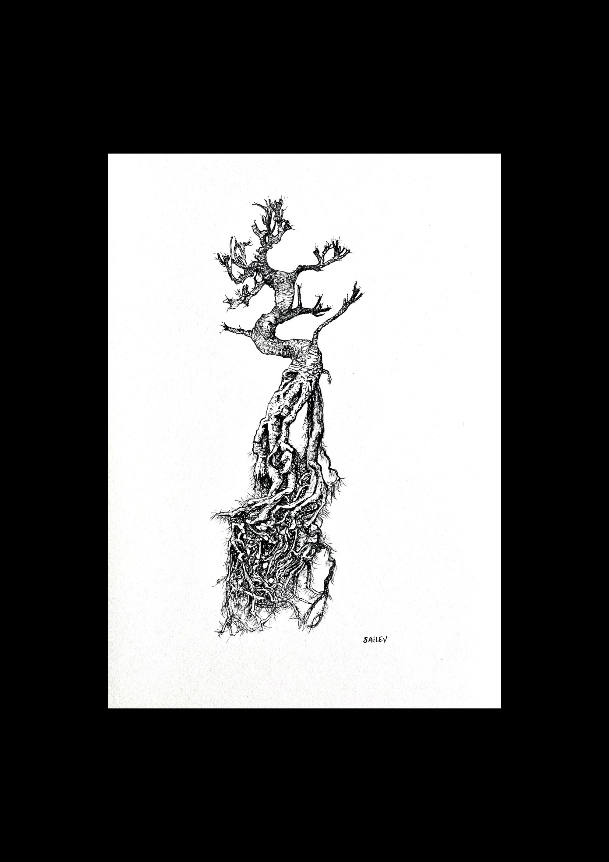 SAILEV Axis Mundi II avec passepartout 2022.jpg