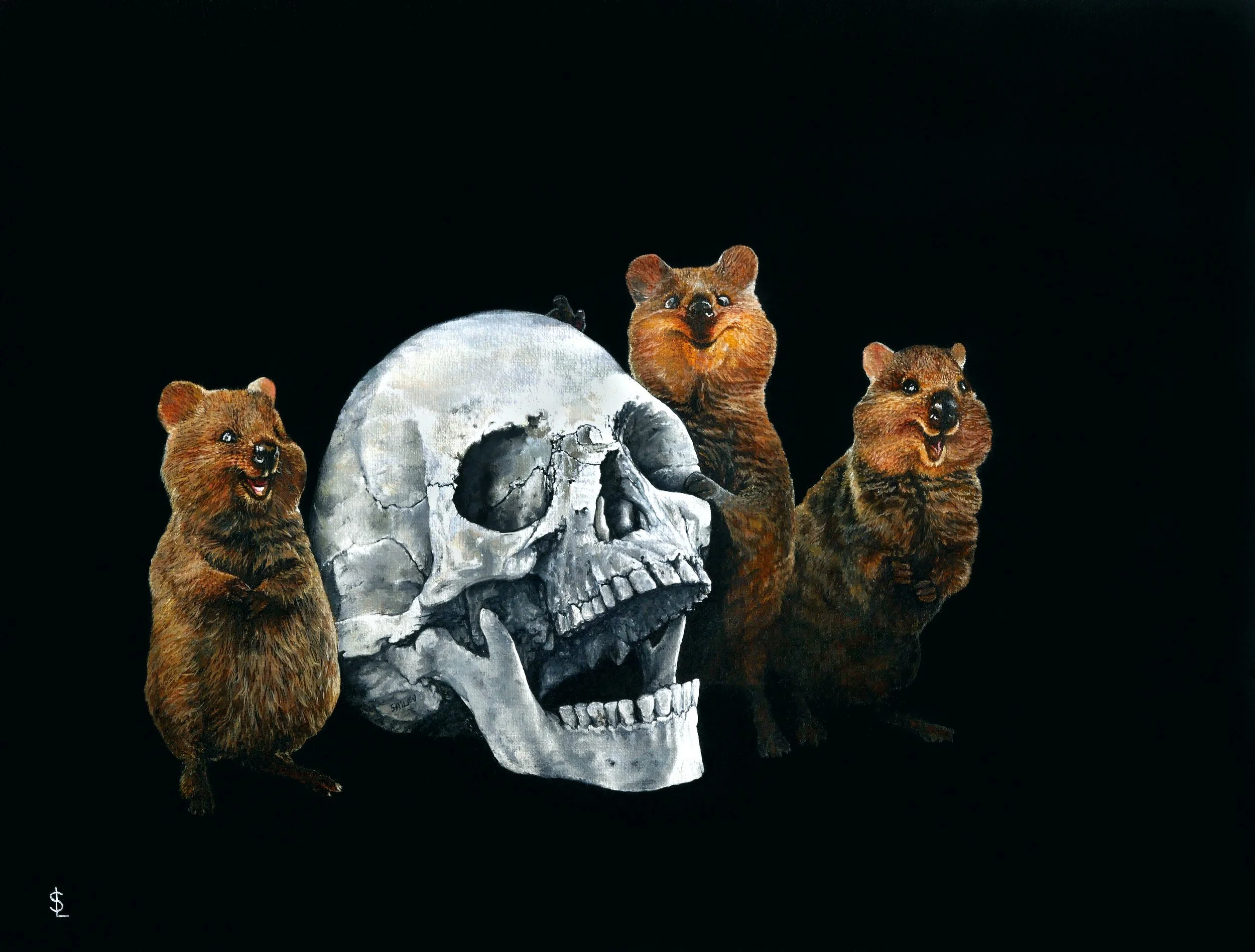 SAILEV Setonix brachyurus 10MB.jpg