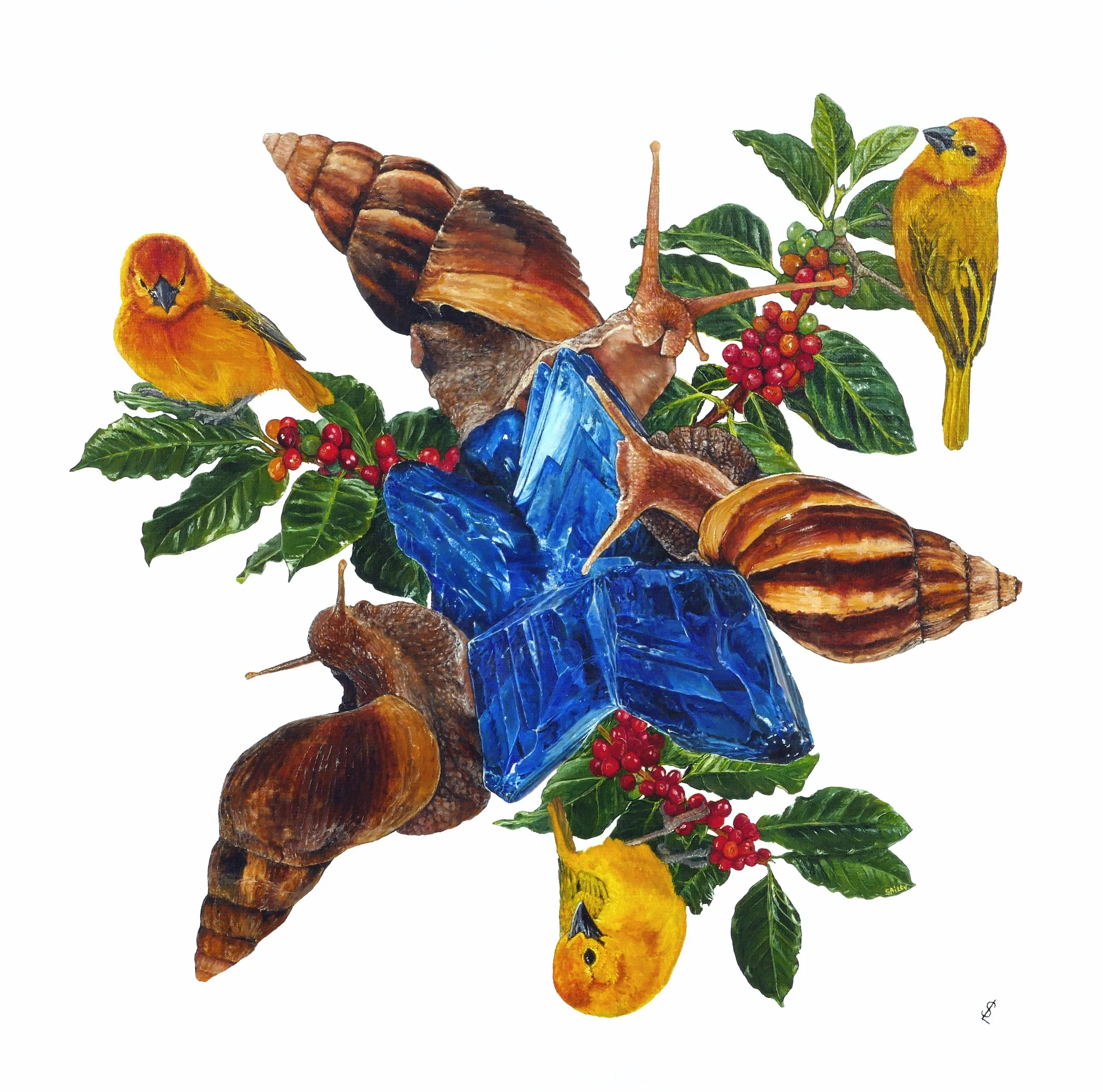 SAILEV Mandala of Arusha 5MB.jpg