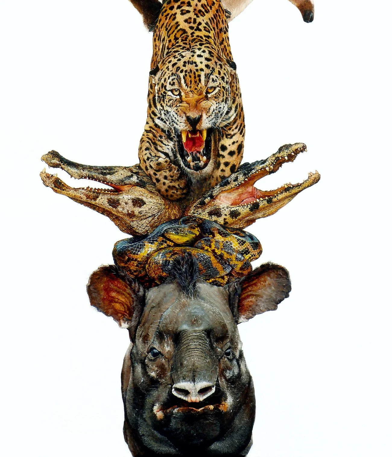 SAILEV Pantanal detail 2 copy.jpg