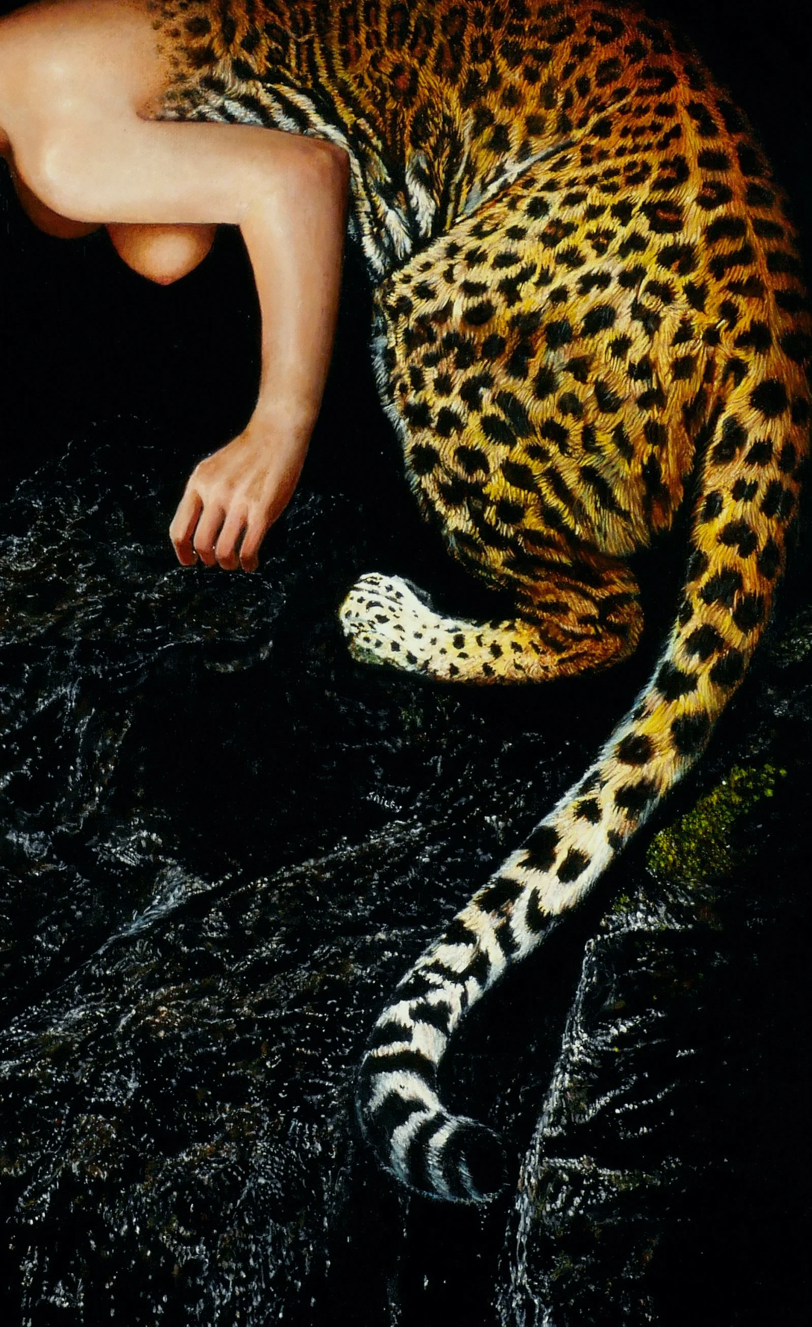 SAILEV Pantera oscura I 2025 croped.jpg