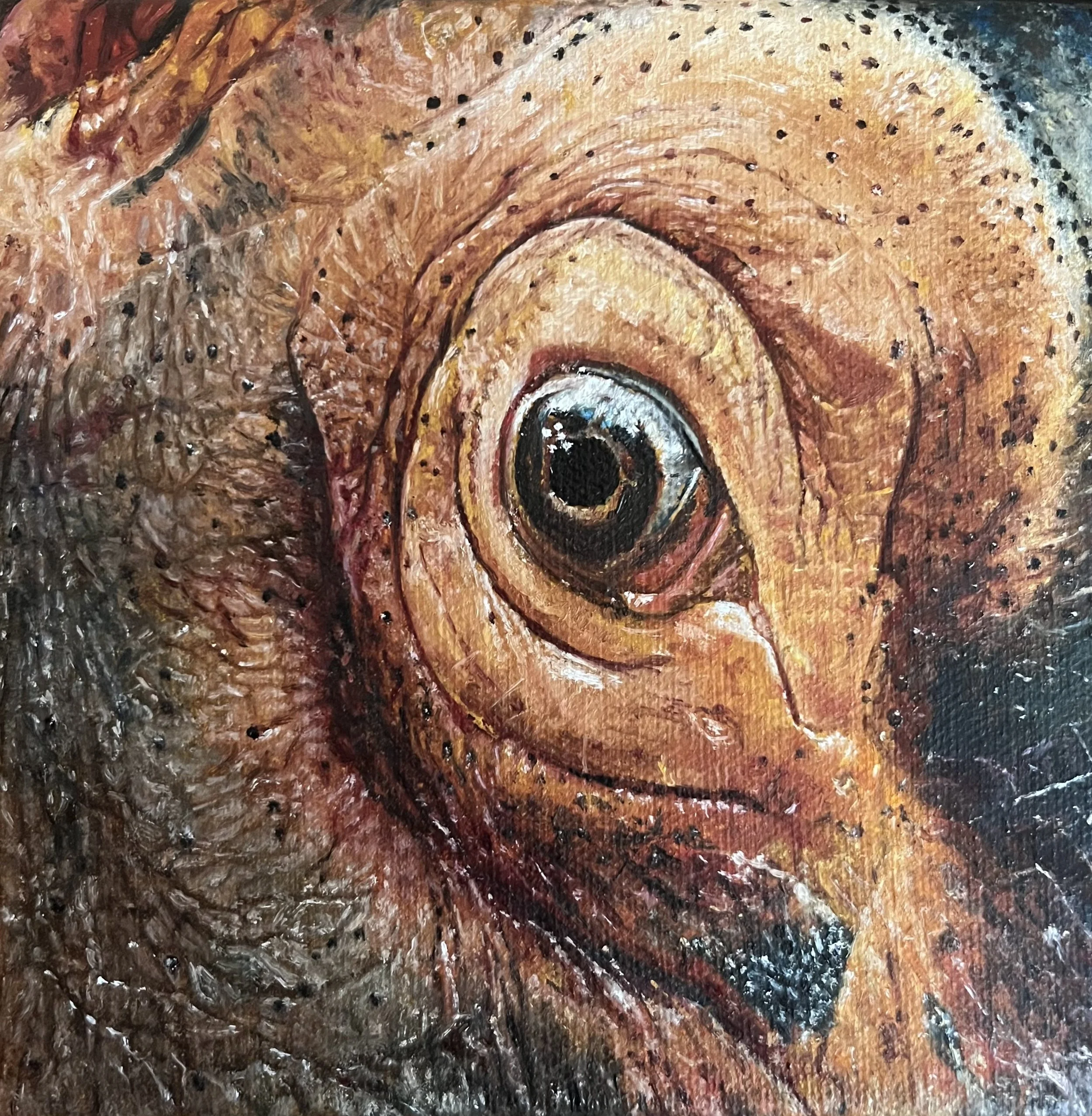 SAILEV EyeSeeYou XXXI 15x15 canvas jan26.jpg