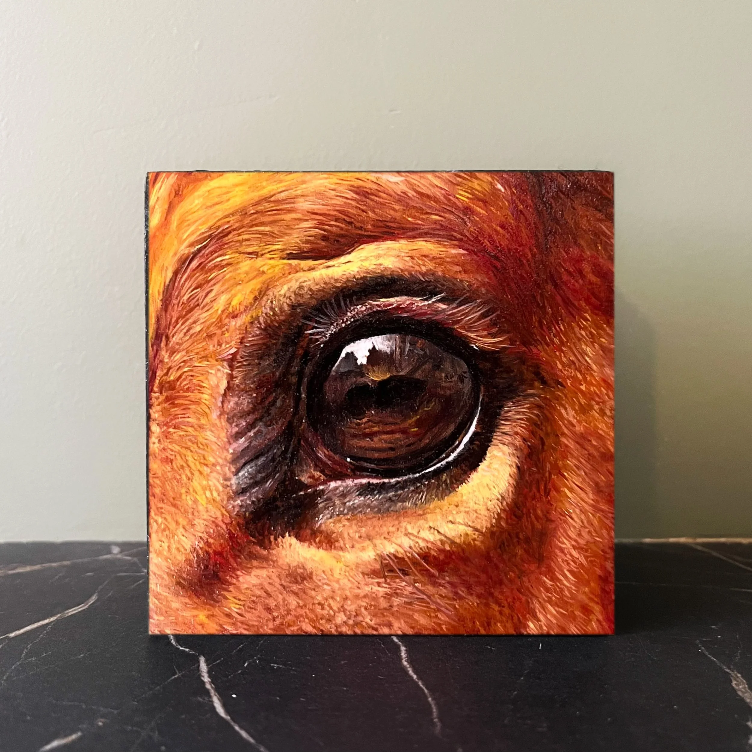 SAILEV EyeSeeYou XVII on table 2023.jpg