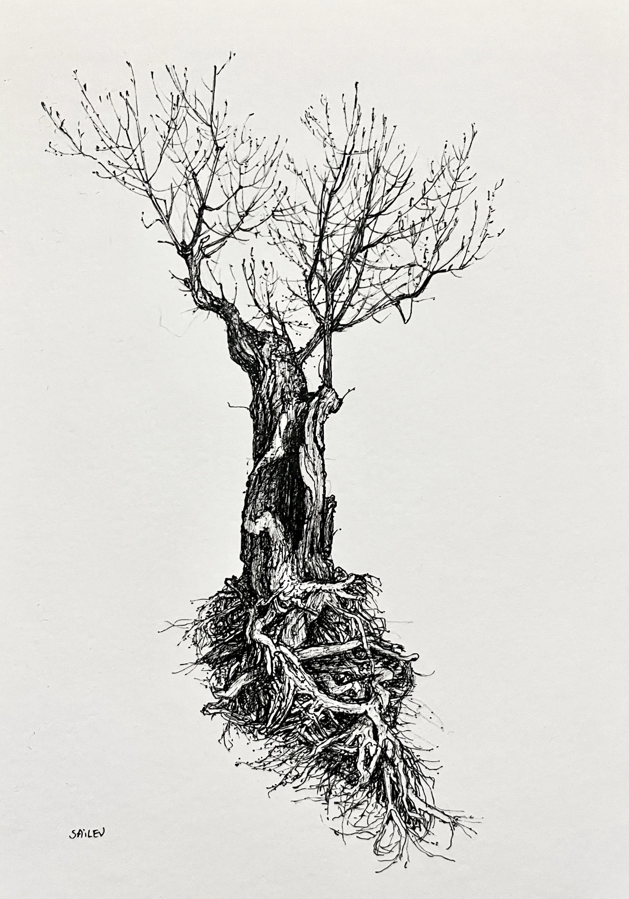 SAILEV Axis Mundi XXVIII 21x29.7 dec2025.jpg