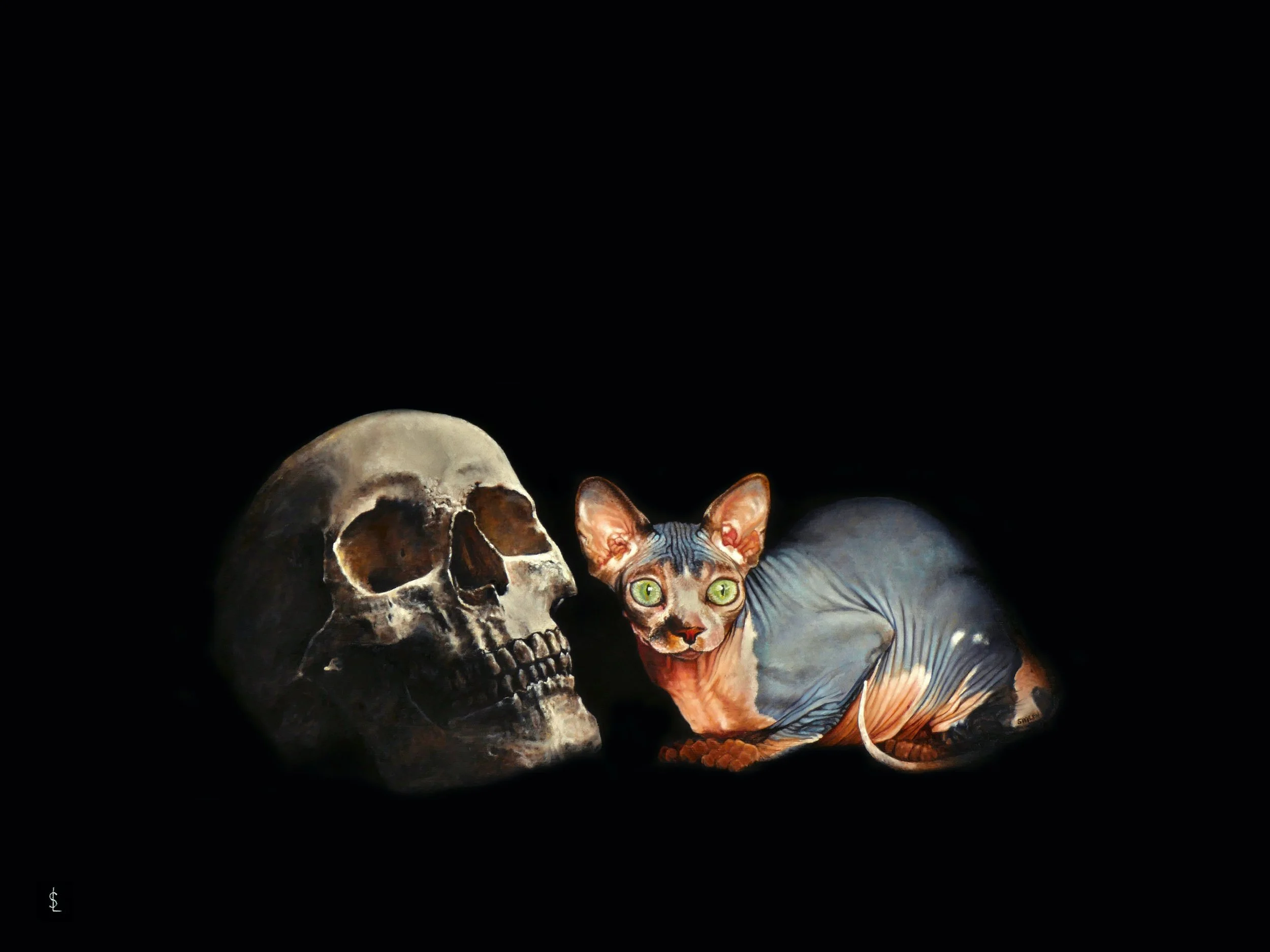 SAILEV Felis Catus Donskoy 2024 5MB.jpg