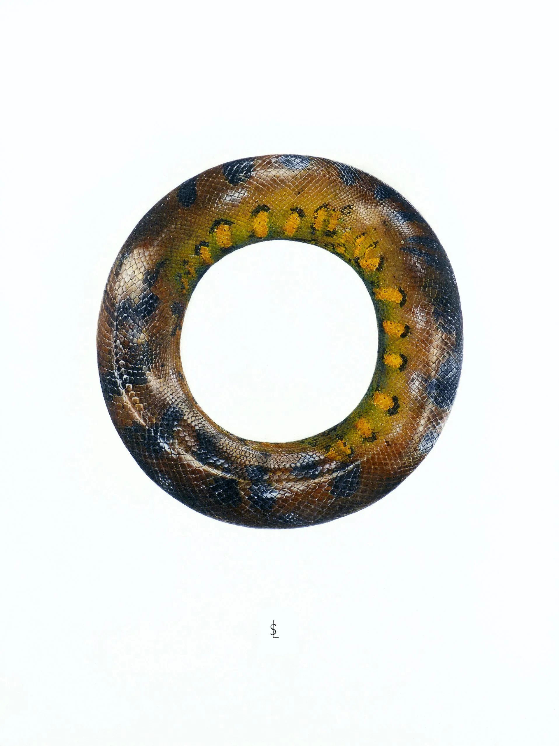 SAILEV The Headless Ouroboros 5MB .jpg