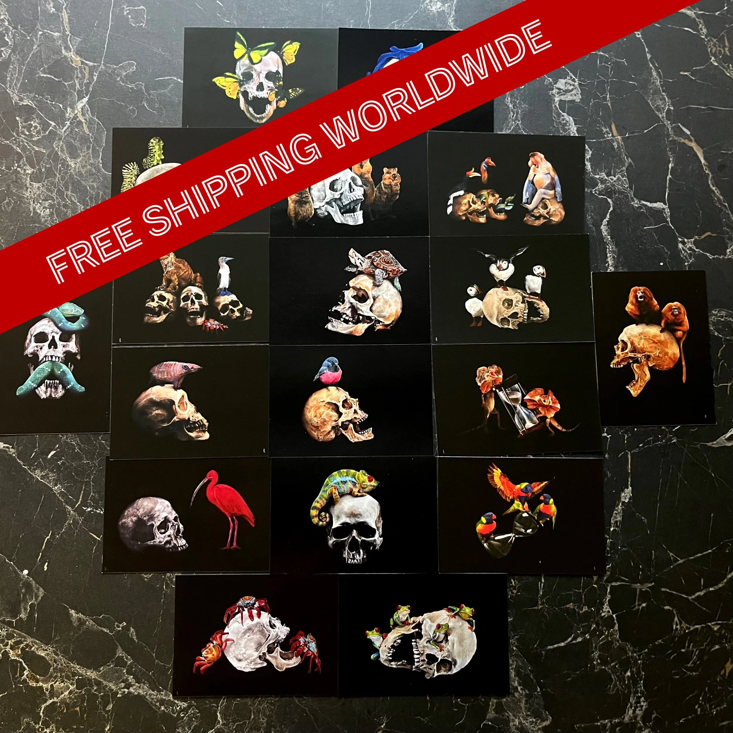 Postcard Freeshipping Combo full set Memento mori animalis.jpg