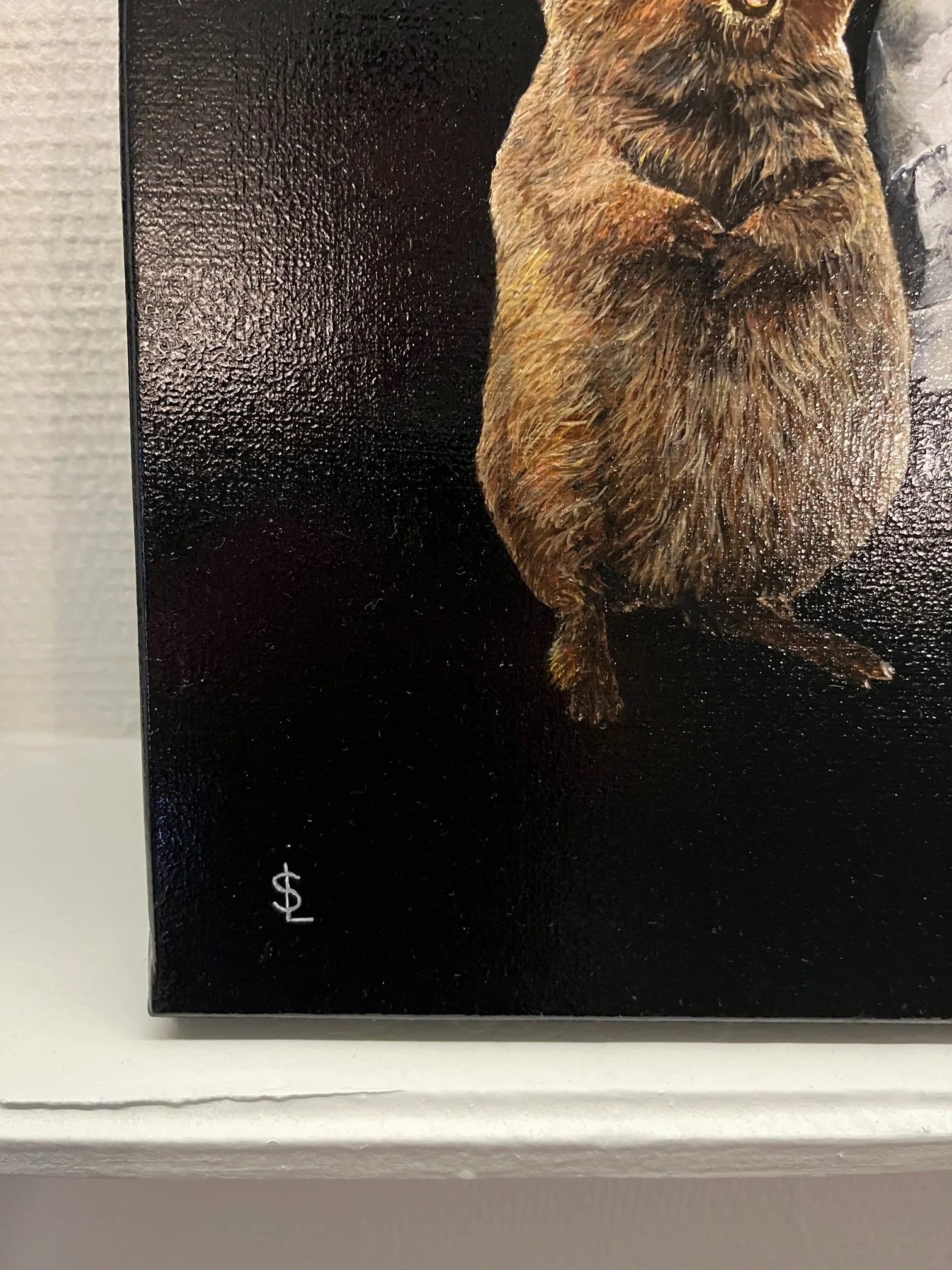 SAILEV Setonix signature.jpg