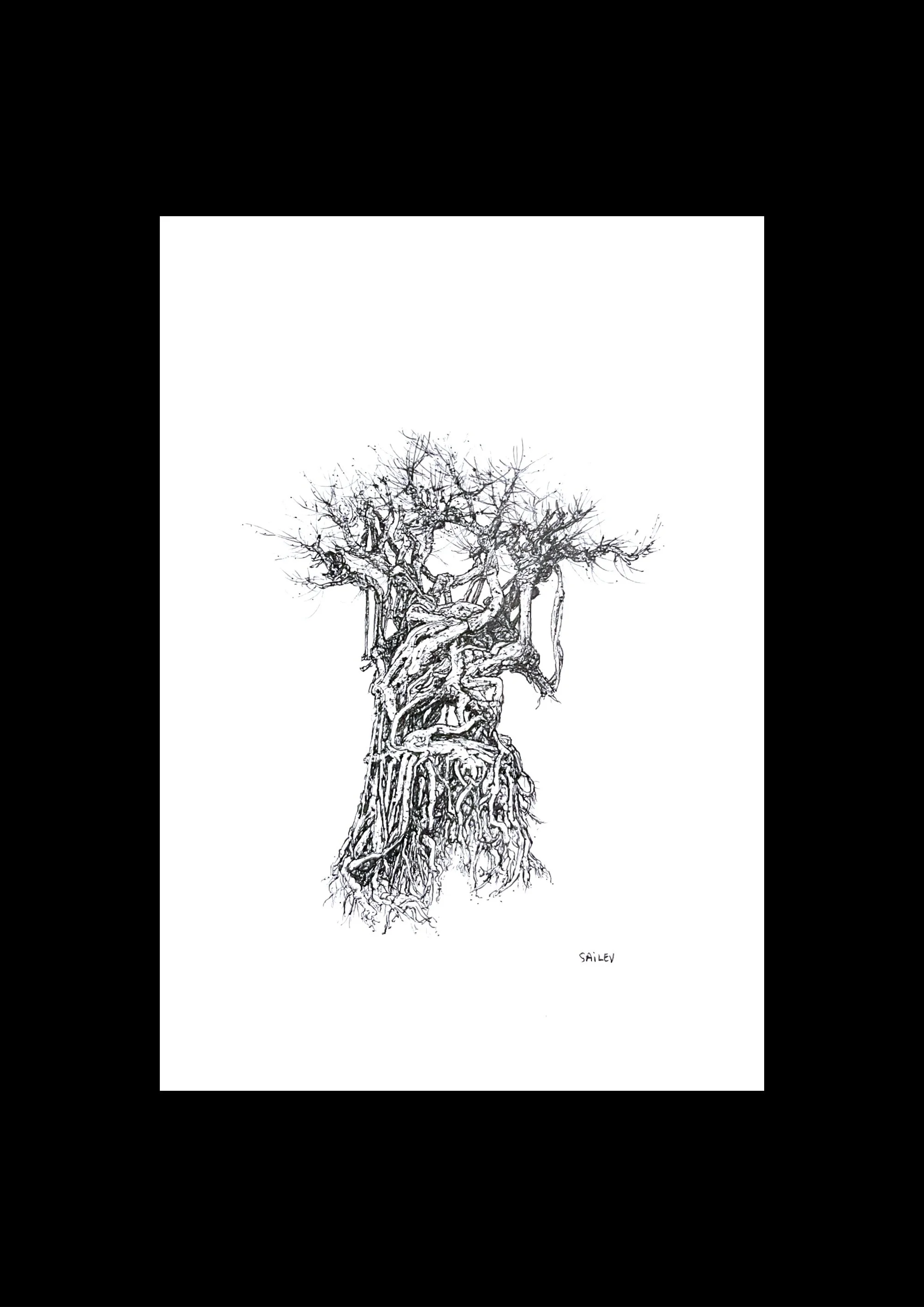 SAILEV Axis Mundi XV avec passepartout 2023.jpg