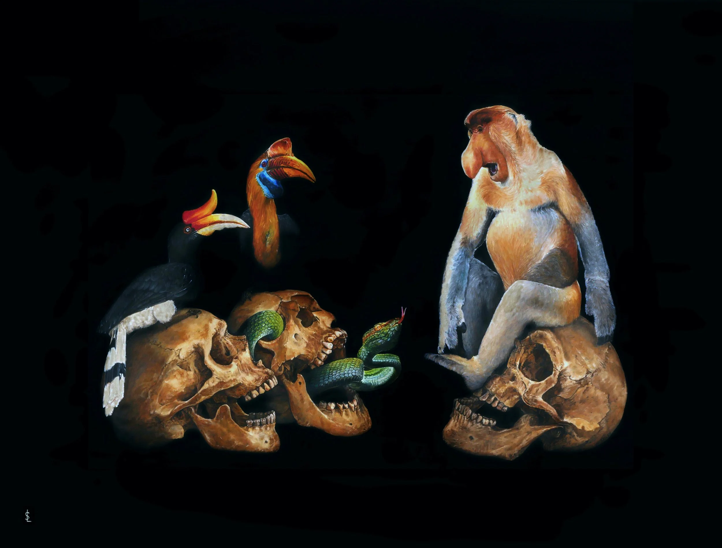 SAILEV Memento Mori de Bornéo 2023 5MB.jpg