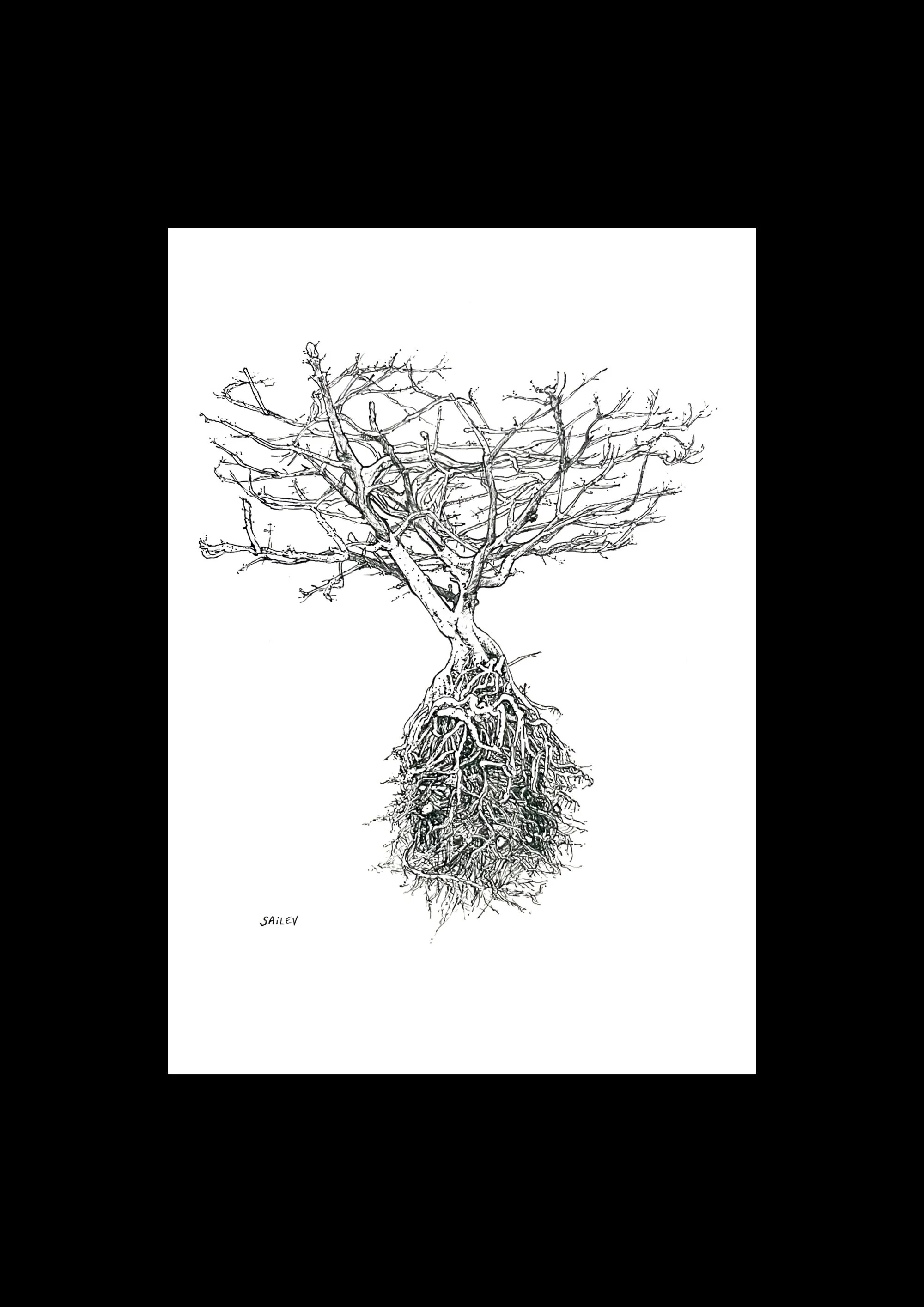 Axis Mundi IV - Dessin