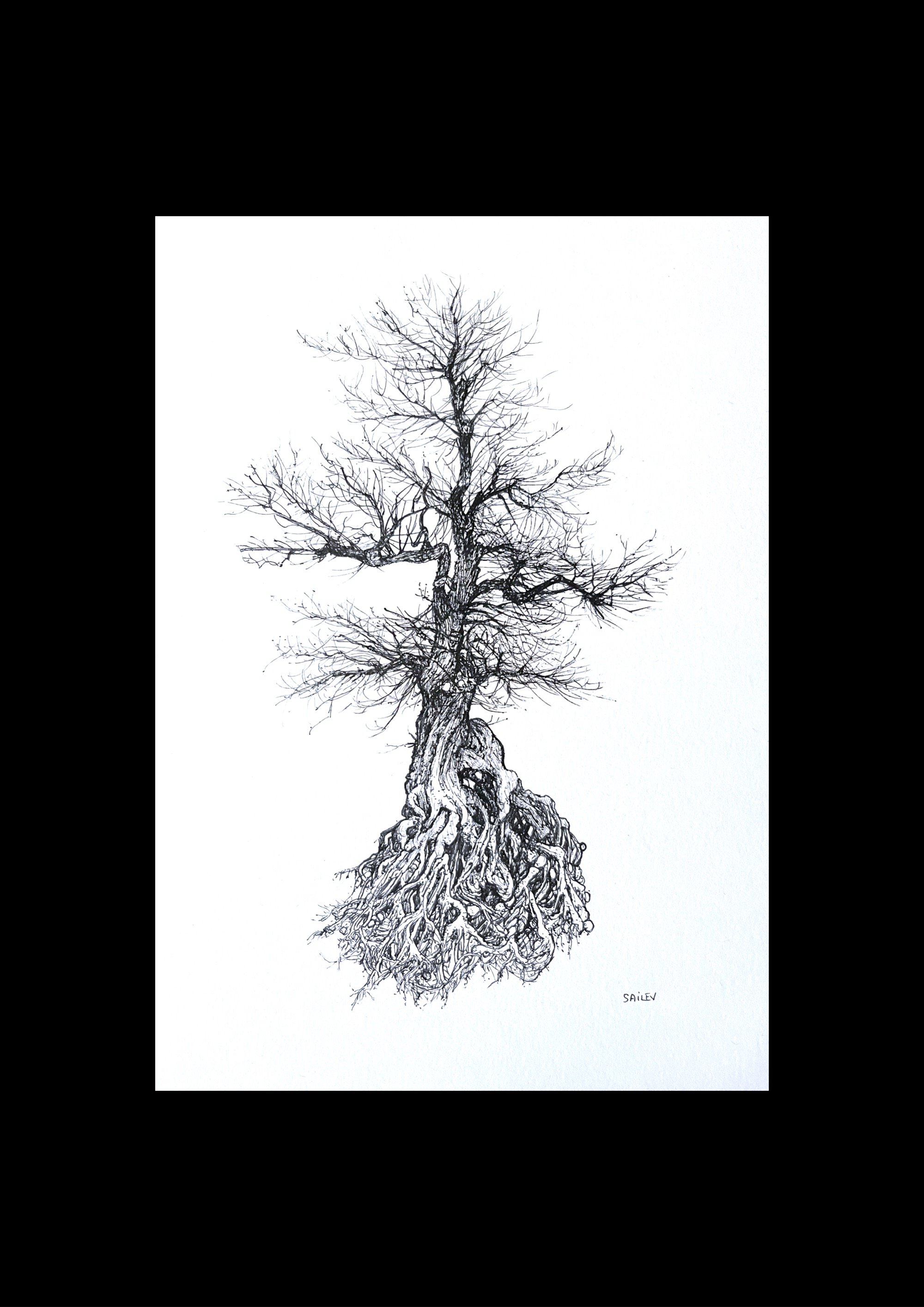 SAILEV Axis Mundi XVI avec passepartout 2023.jpg