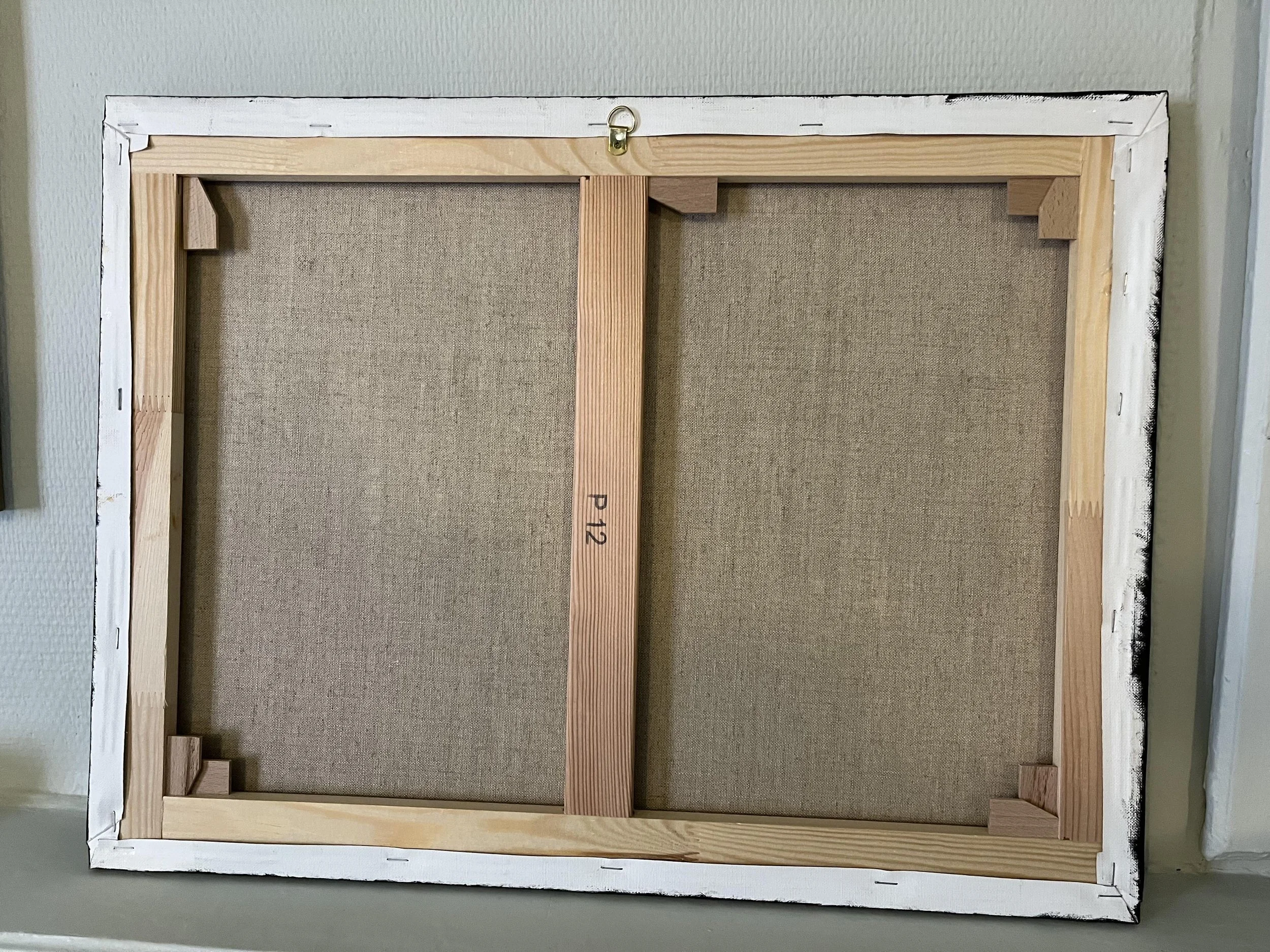 Back side Linckia laevigata.jpg