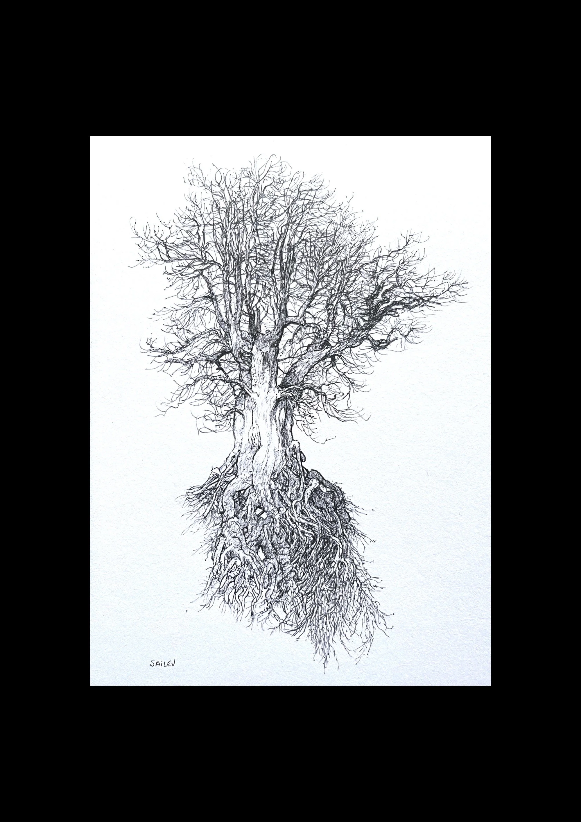 SAILEV Axis Mundi XVIII avec passepartout 2024.jpg