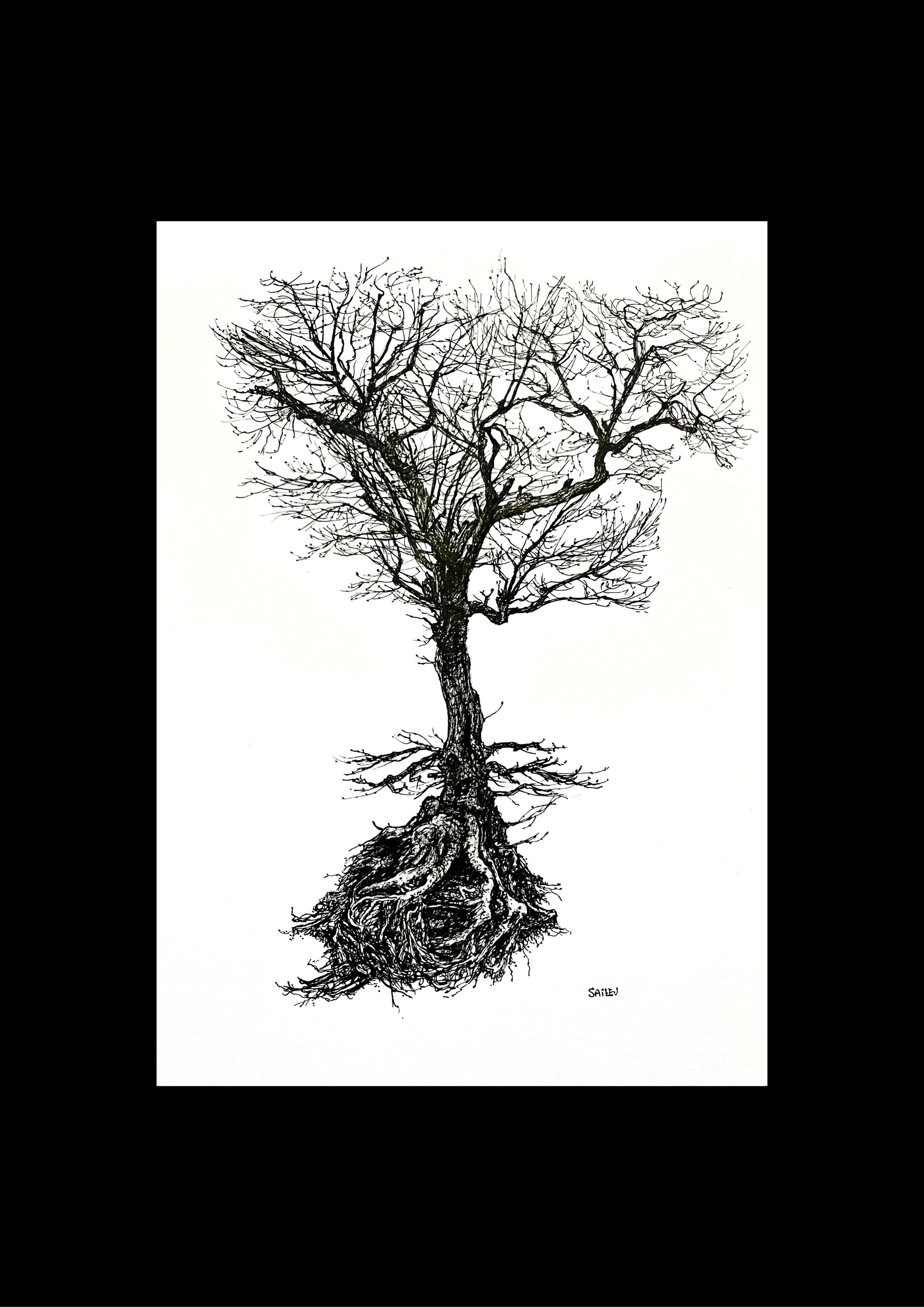 SAILEV Axis Mundi XXVII cadre noir 21x29.7 avec passepartout.jpg