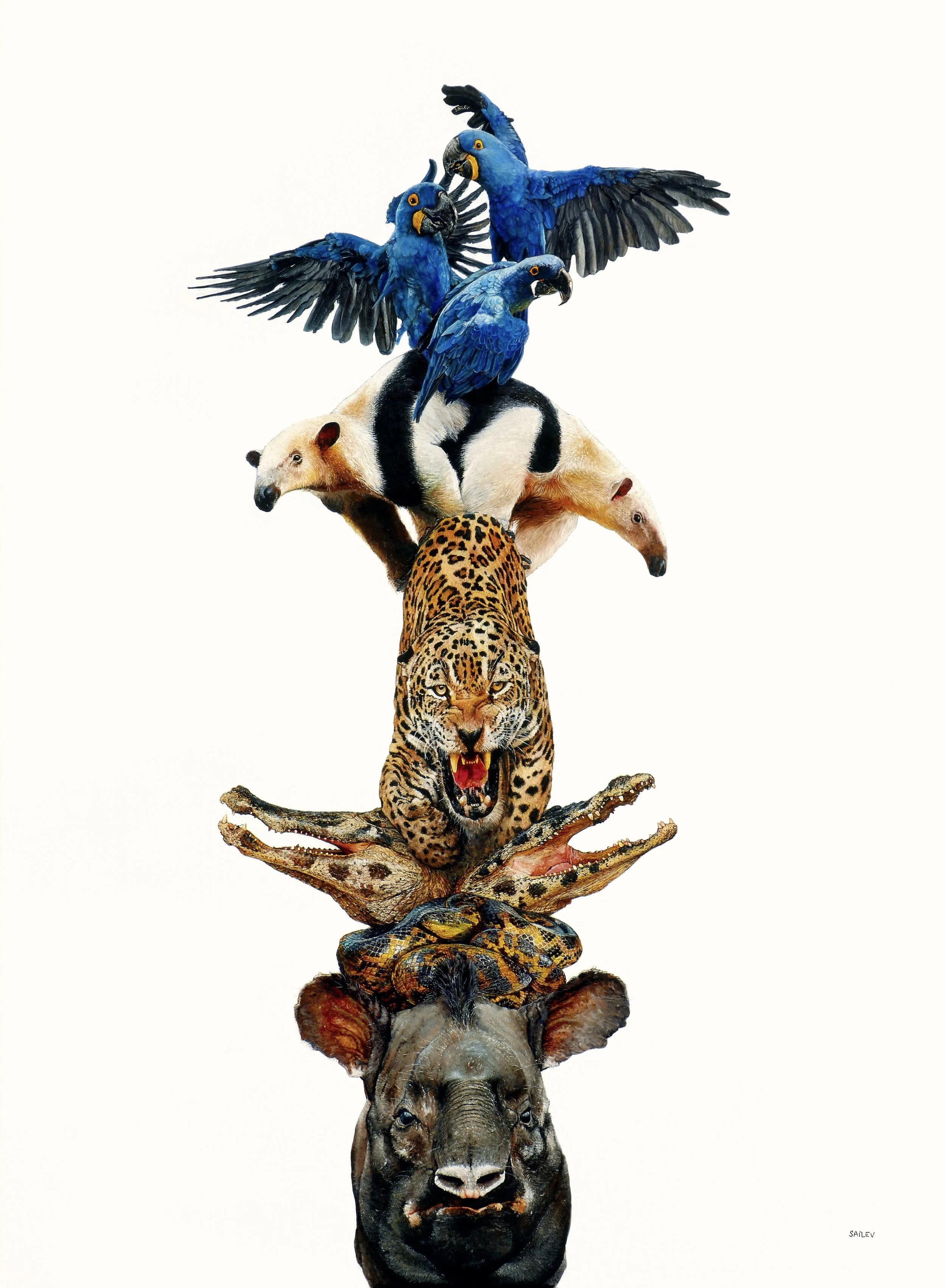 SAILEV Totems of the Pantanal 9MB.jpg