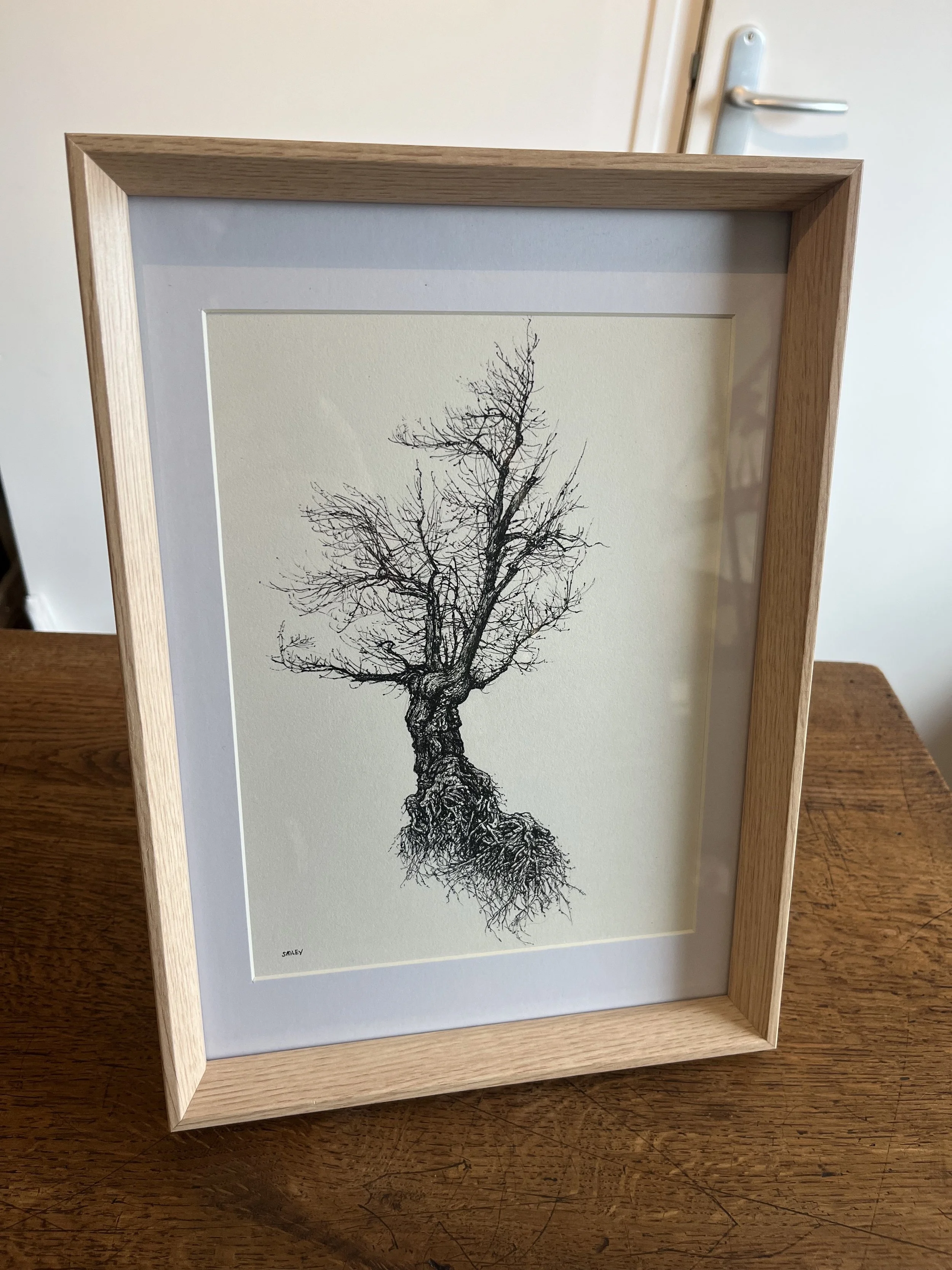 SAILEV Axis Mundi XXIII avec cadre 2025.jpg