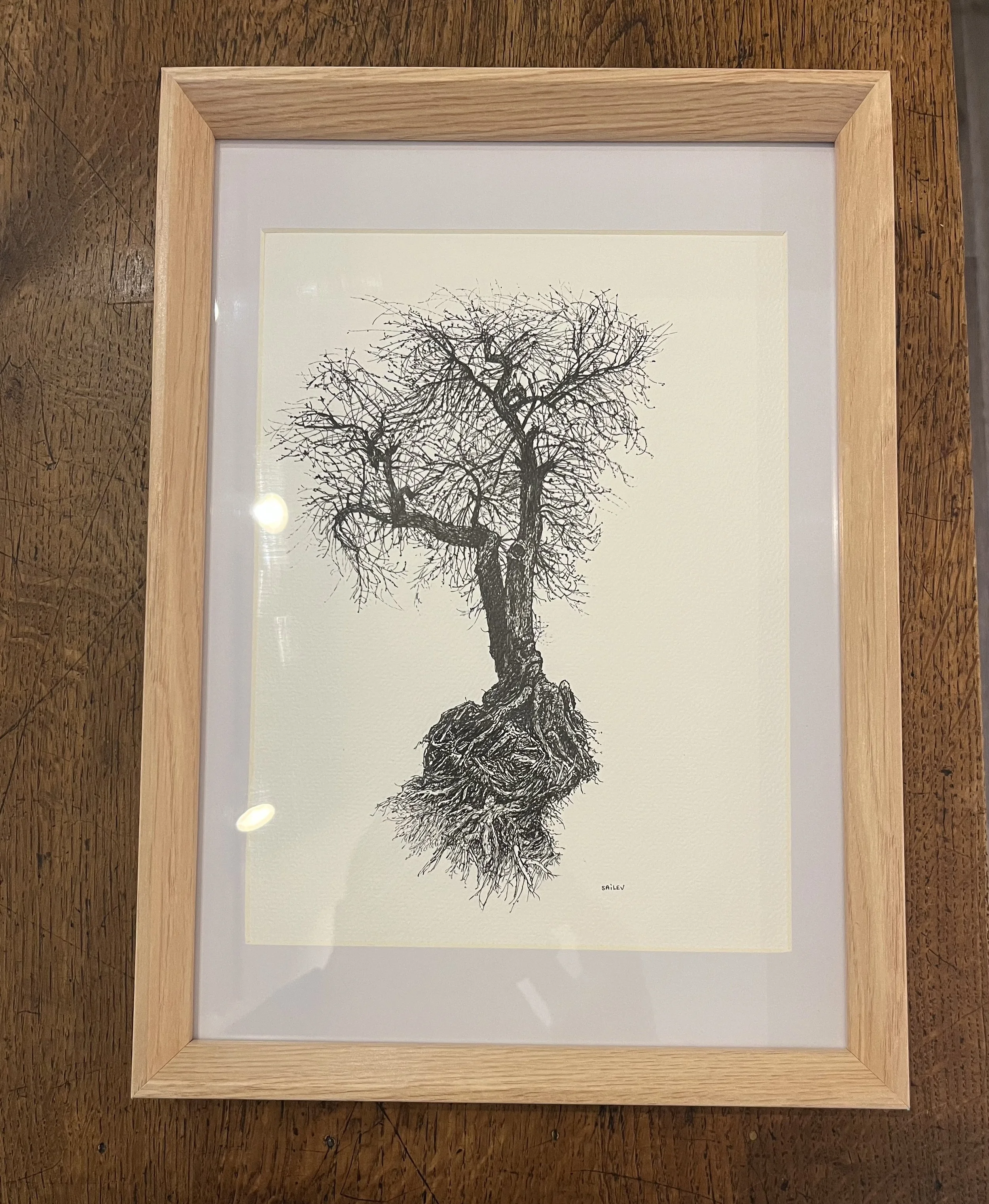 SAILEV Axis Mundi XXV 2025 avec cadre bois.jpg