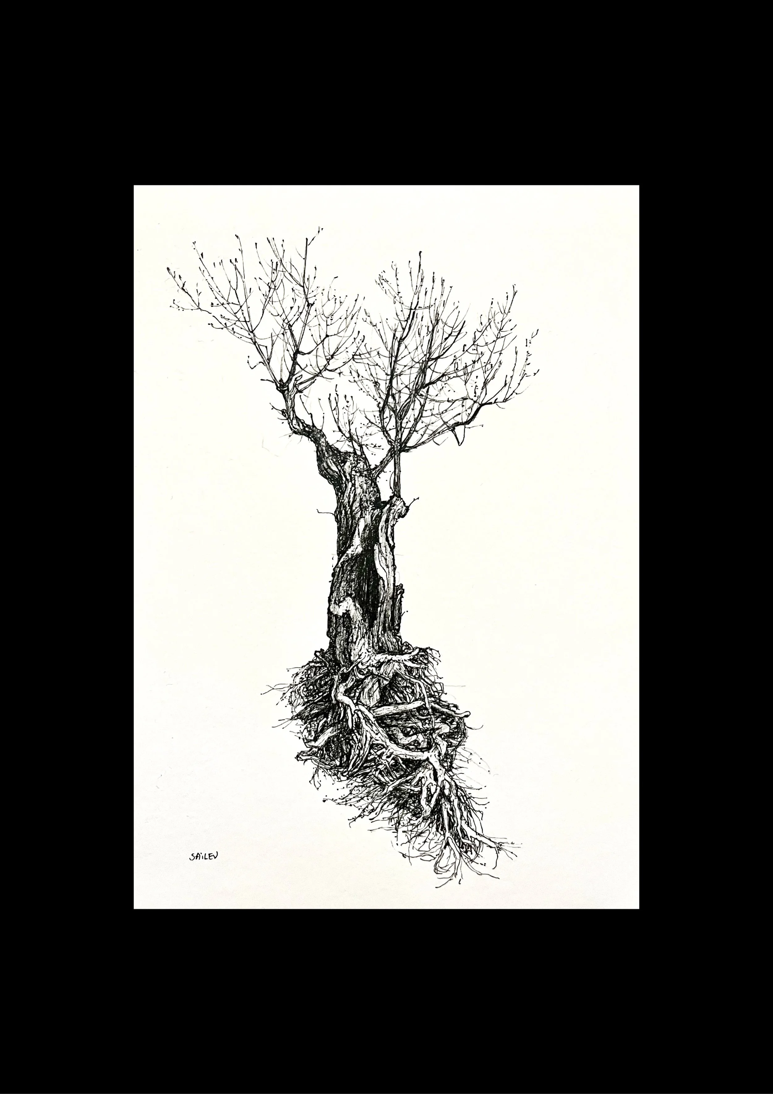 SAILEV Axis Mundi XXVIII 21x29.7 avec cadre dec2025.jpg