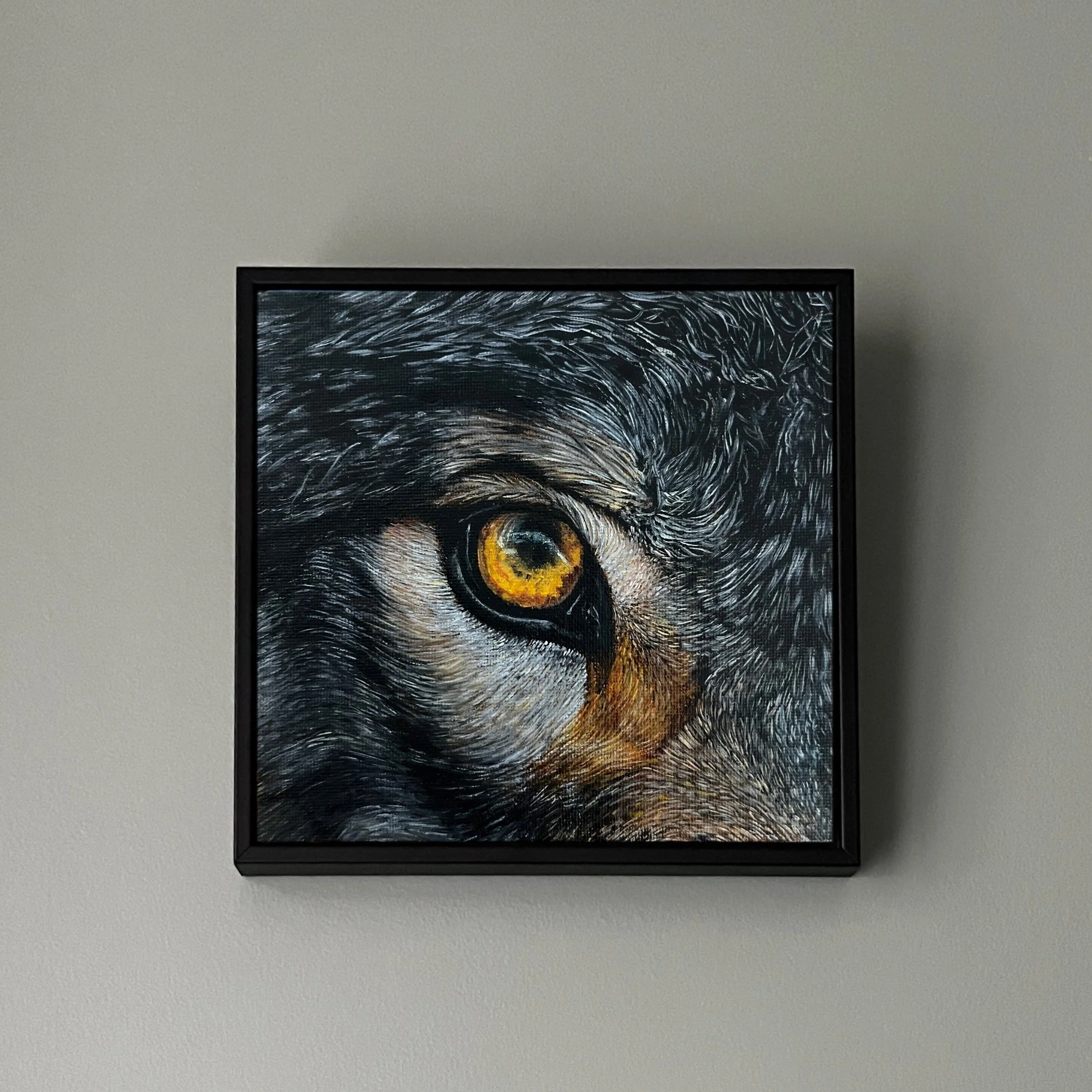 Eye See You XXVI