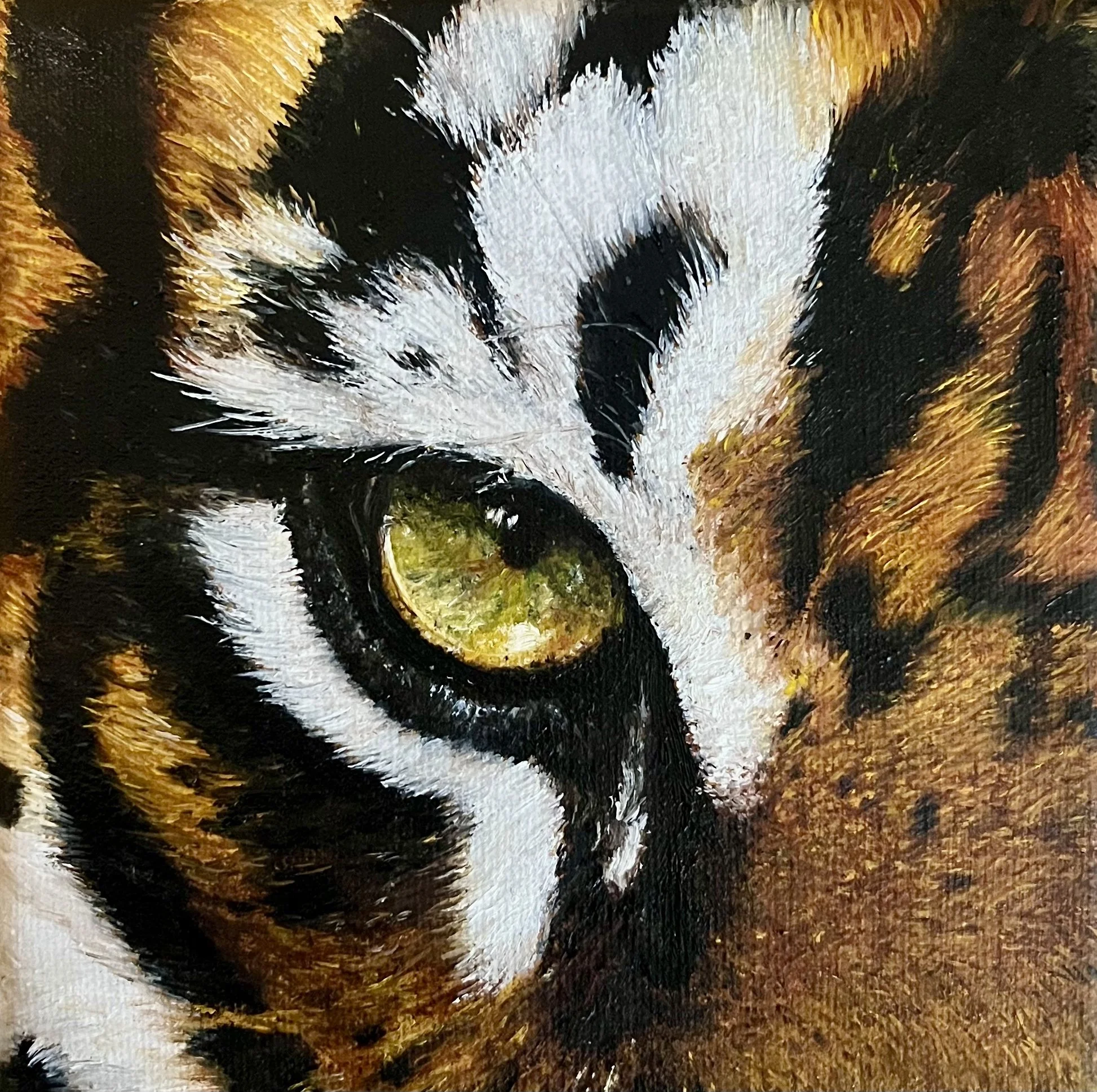 SAILEV EyeSeeYou XXXII canvas 15x15 jan26.jpg