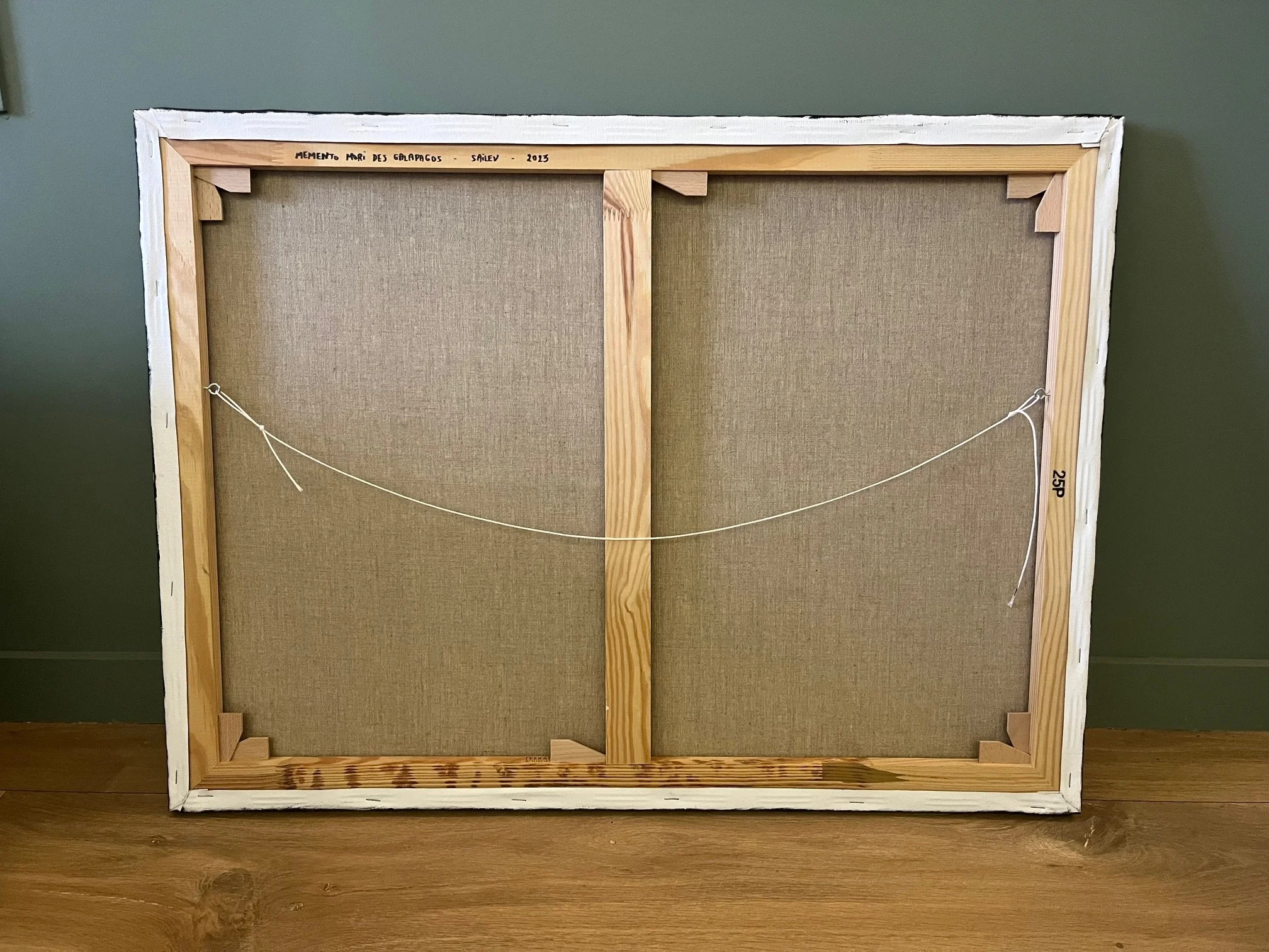 Galapagos backview.jpg