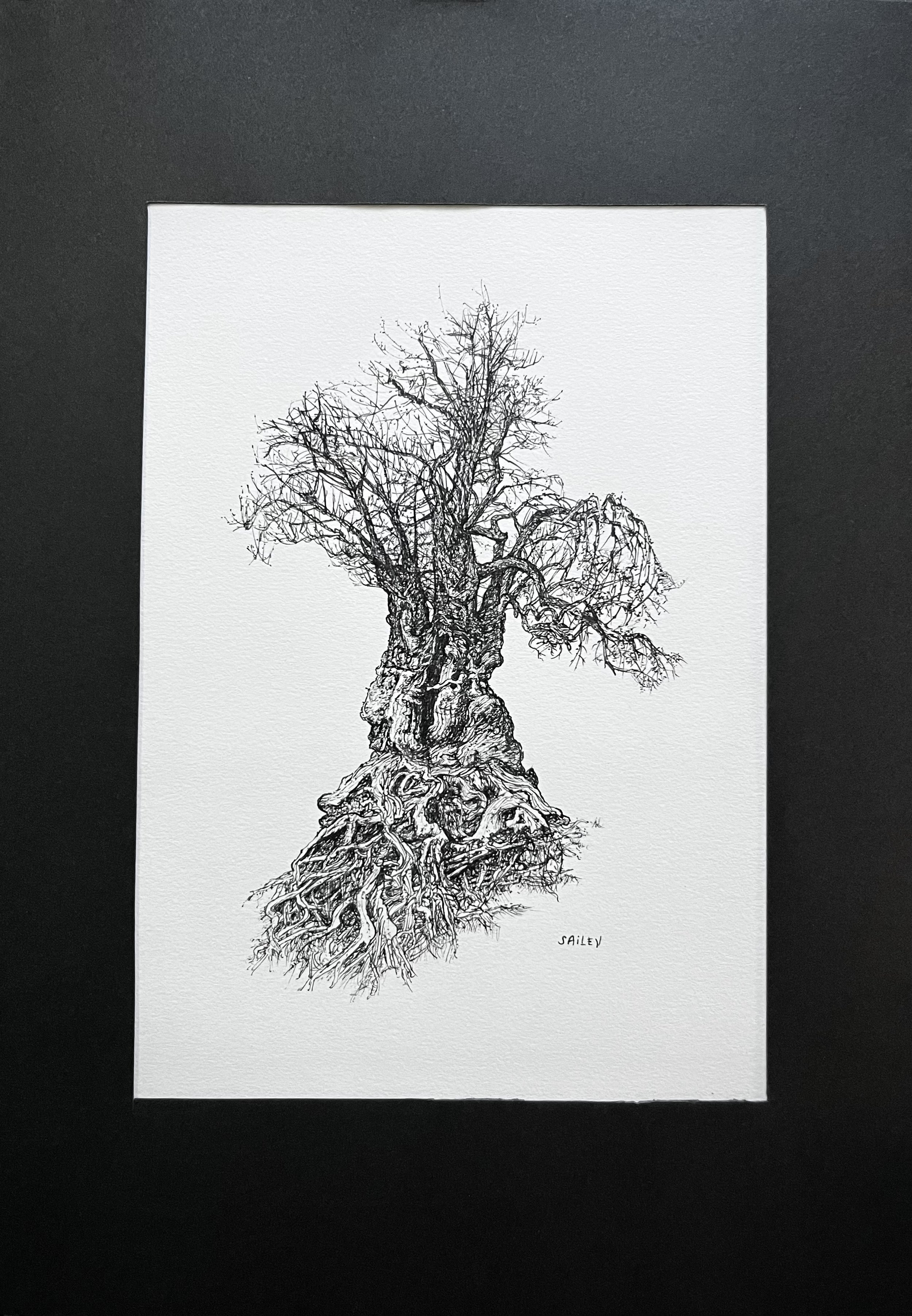 SAILEV Axis Mundi V avec passepartout.jpg