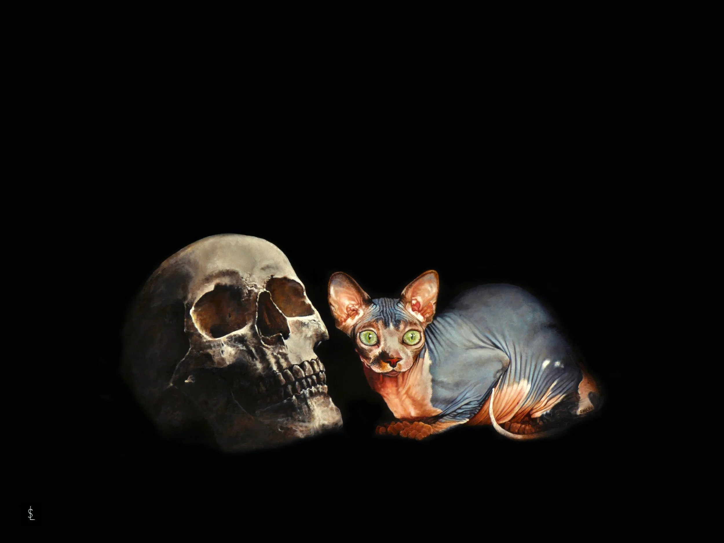 SAILEV Felis Catus Donskoy 2024 10MB.jpg