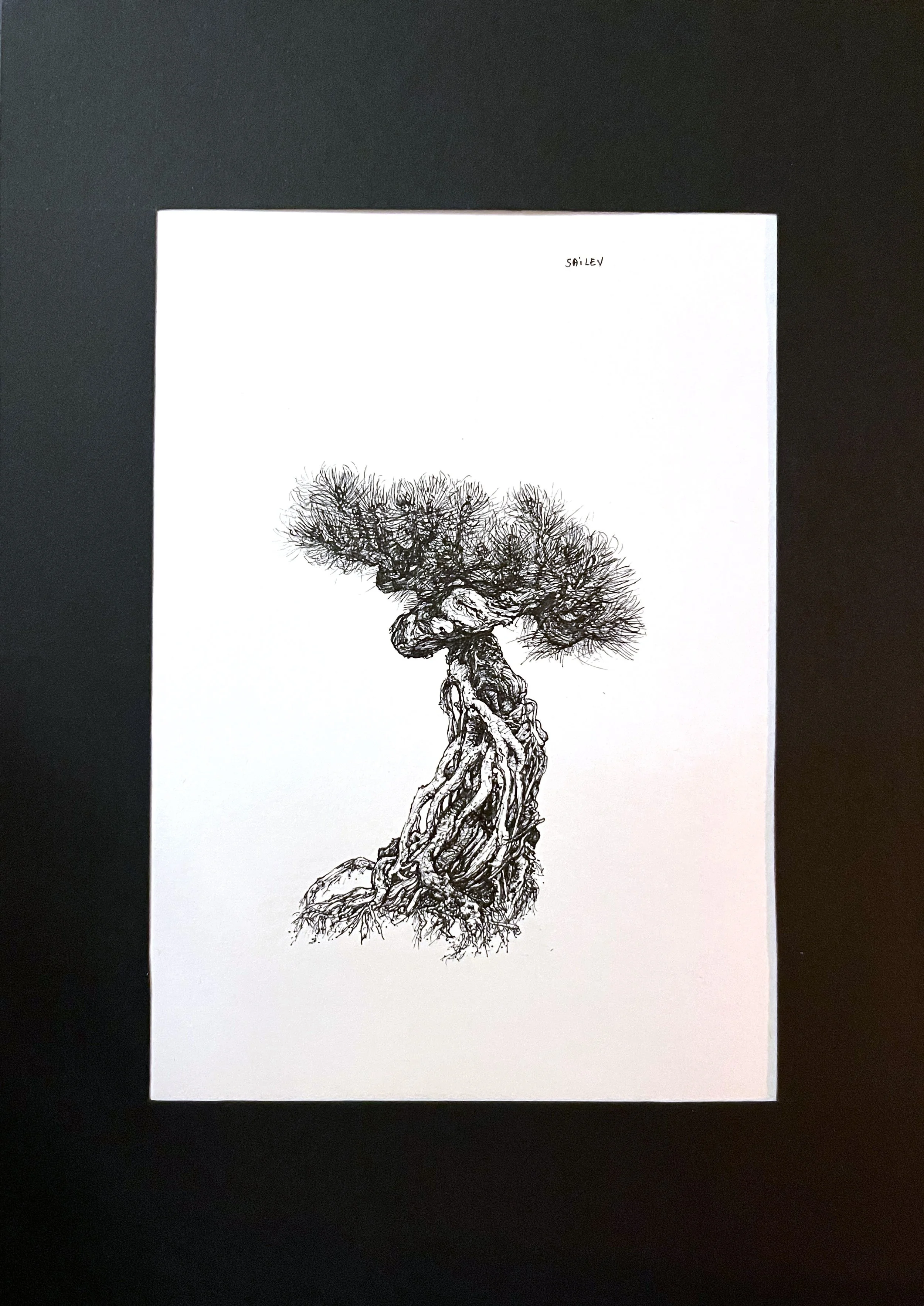 SAILEV Axis Mundi XIII avec passepartout.jpg