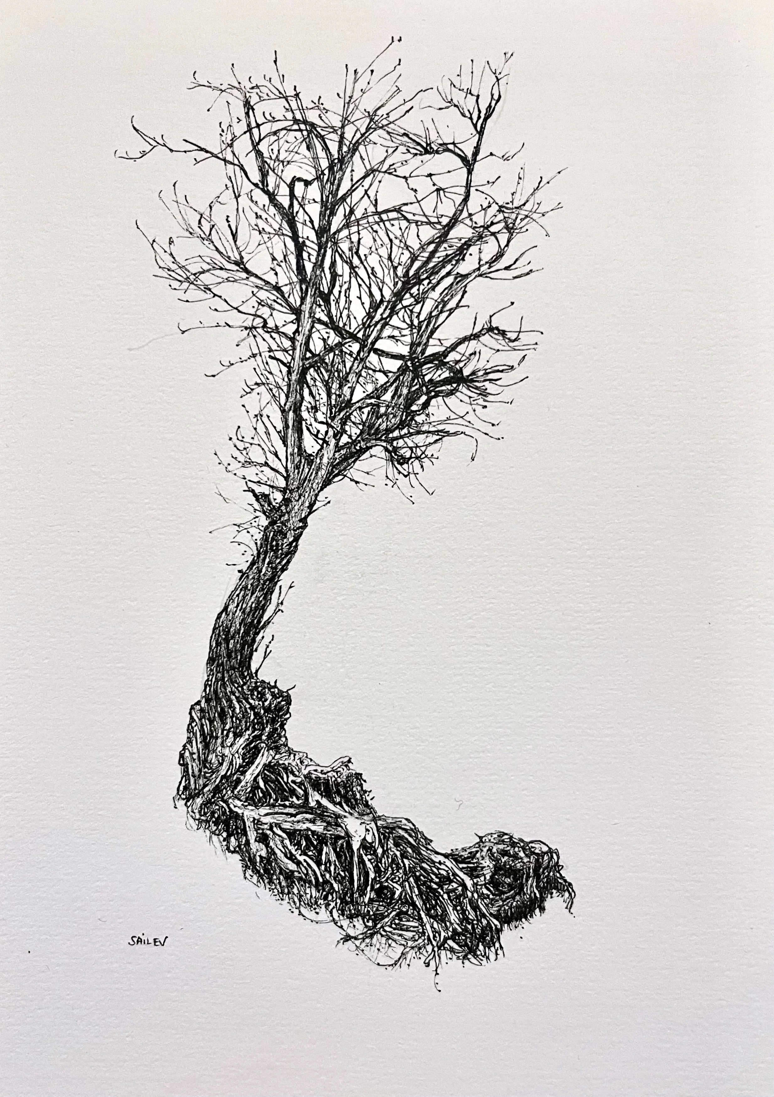 SAILEV Axis Mundi XXIX 21x29.7 dec2025.jpg