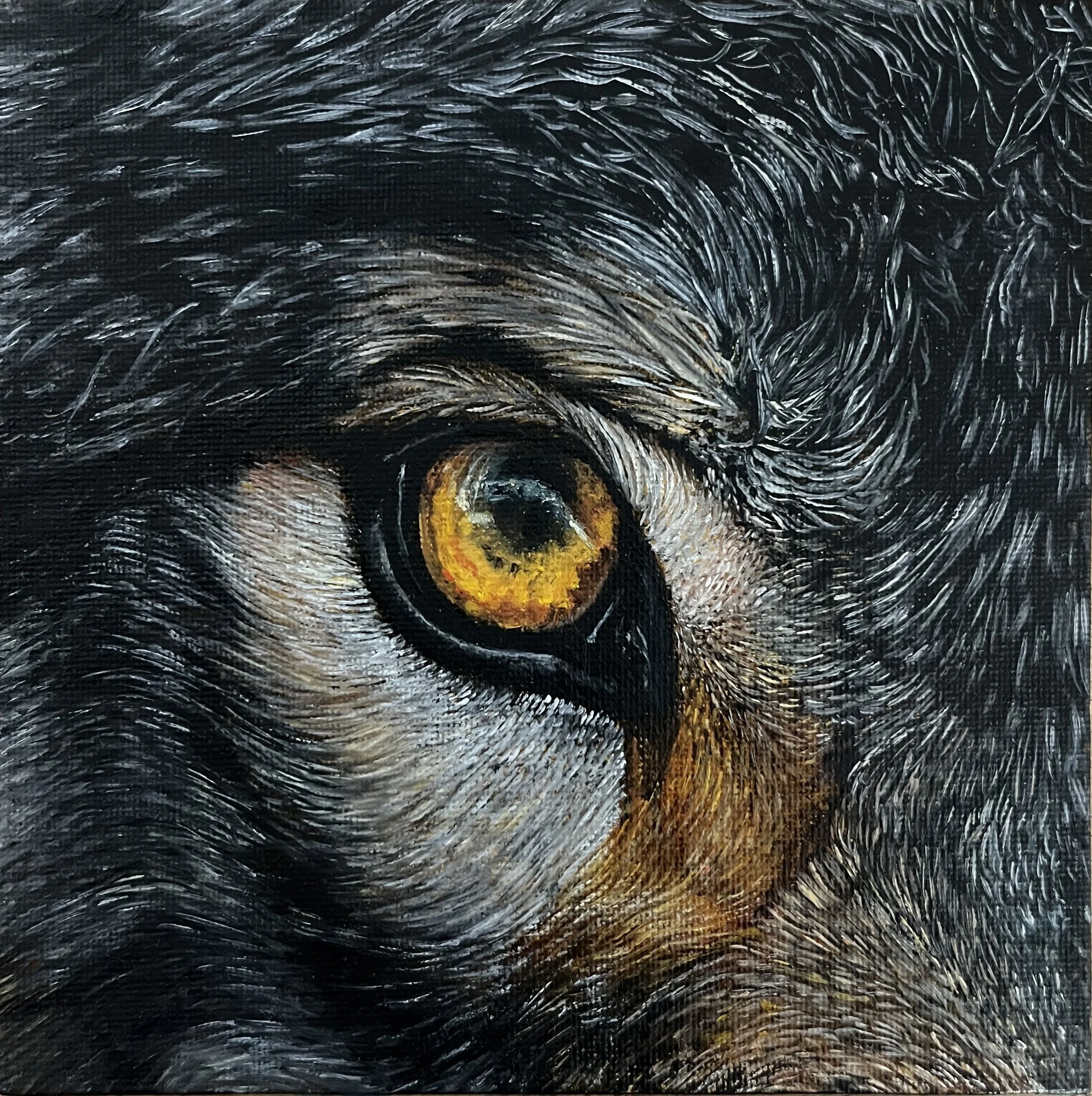 SAILEV EyeSeeYou XXVI Wolf 15x15 canvas board 2025.jpg