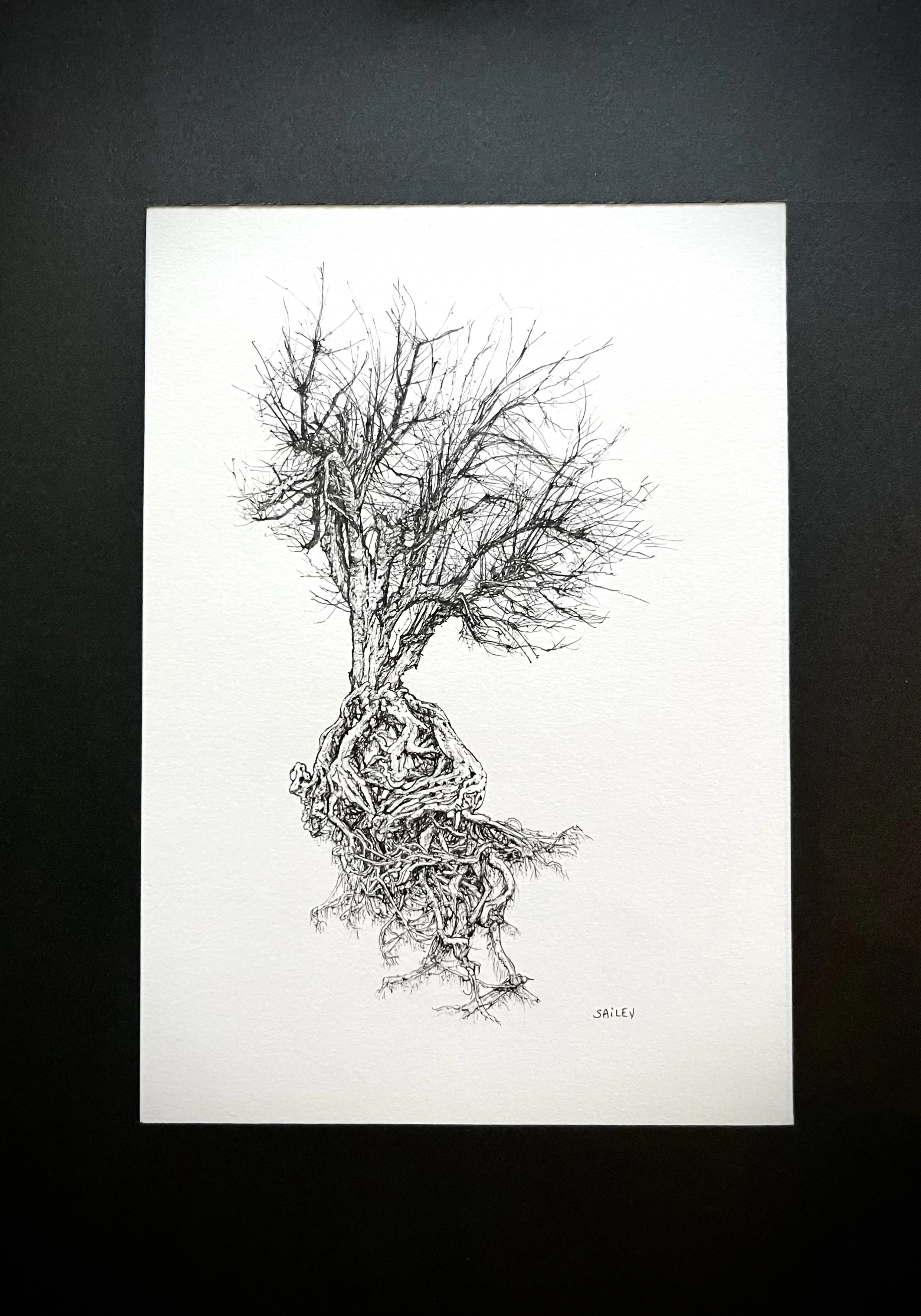 SAILEV Axis Mundi IX avec passepartout 2022.jpg