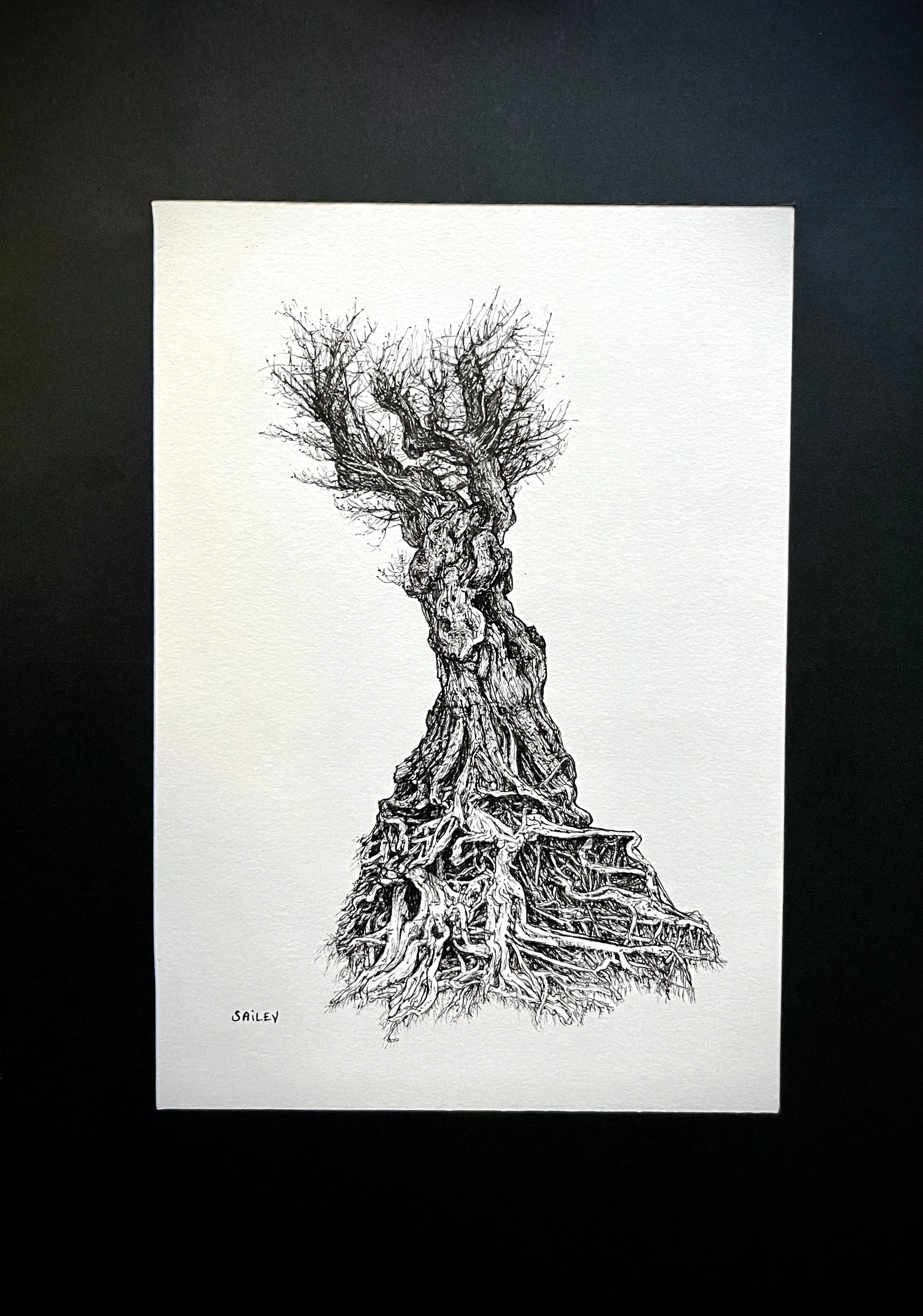 SAILEV Axis Mundi VII avec passepartout 2022.jpg