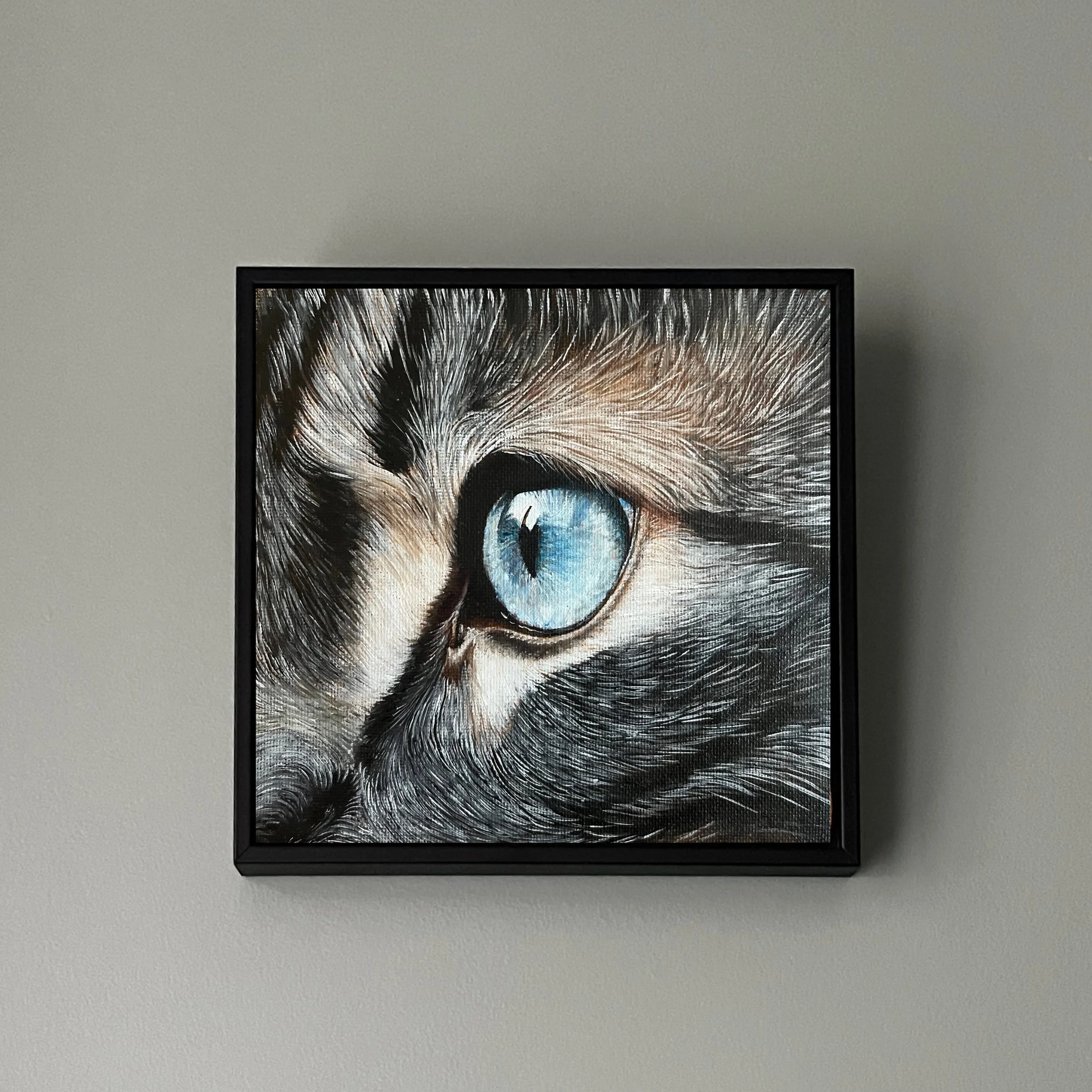 SAILEV EyeSeeYou XXVIII 15x15 au mur jan26.jpg