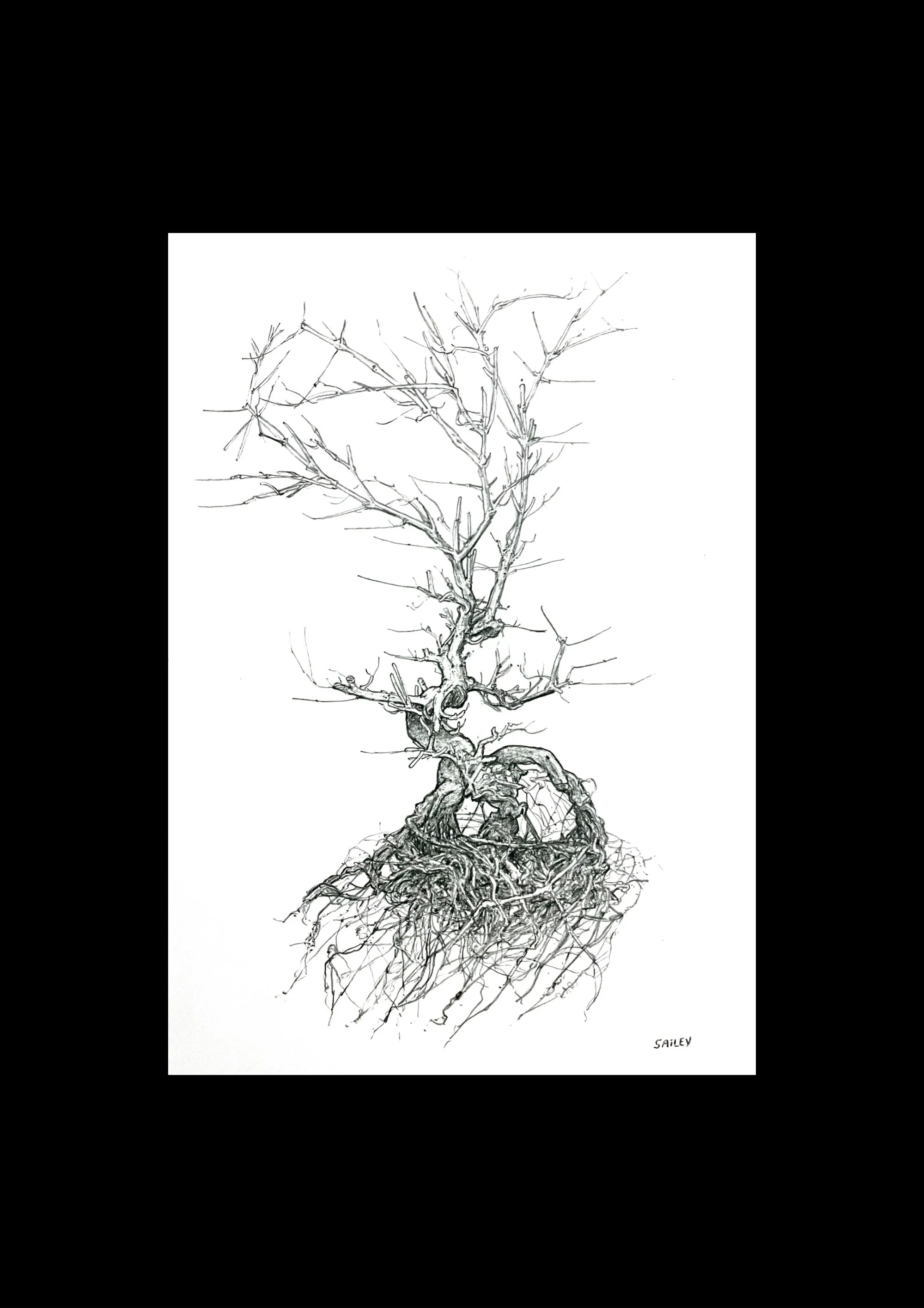 SAILEV Axis Mundi III avec passepartout 2022.jpg