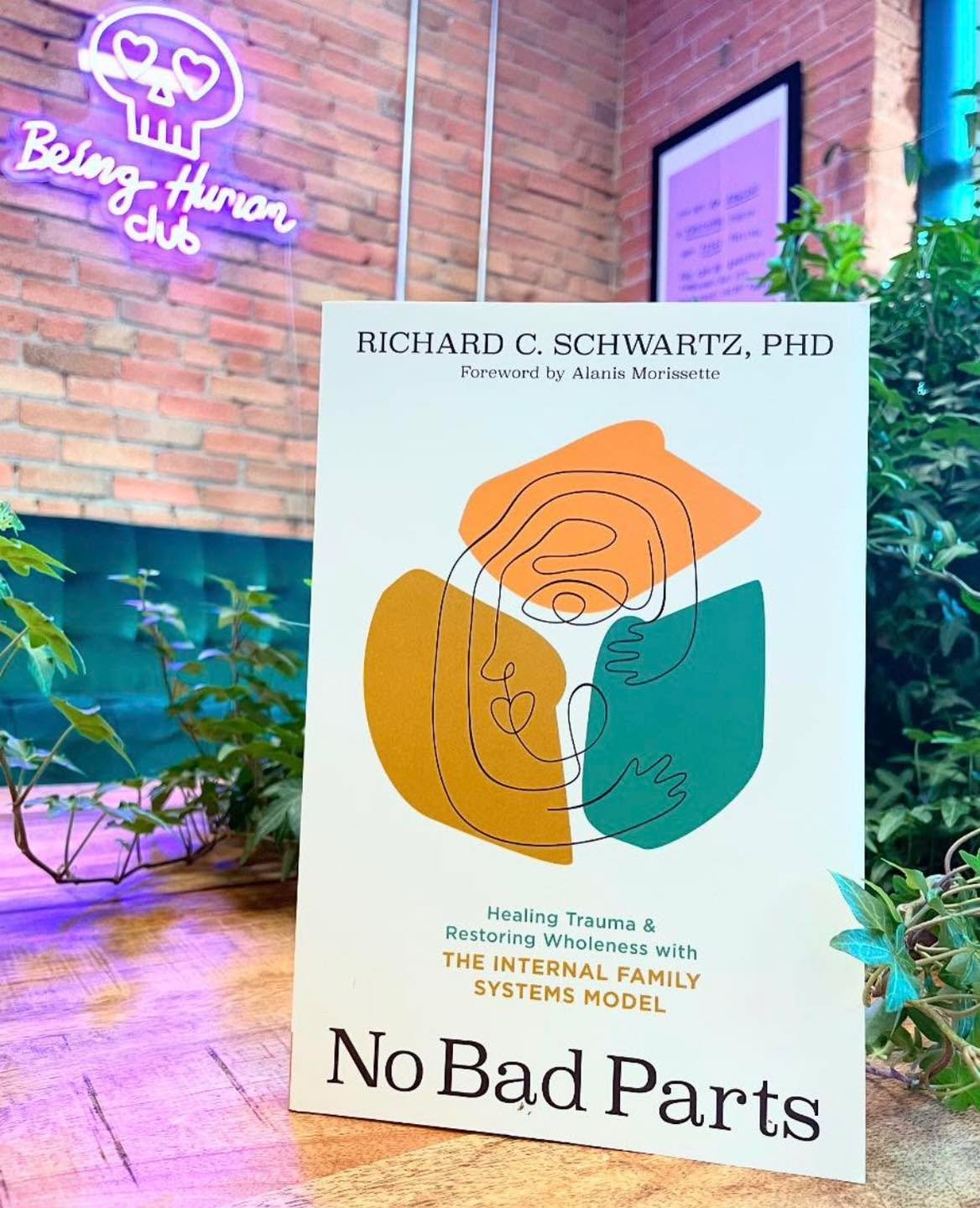 Check out No Bad Parts by Richard Schwartz!
.
Is there just one &ldquo;you&rdquo;? We&rsquo;ve been taught to believe we have a single identity, and to feel fear or shame when we can&rsquo;t control the inner voices that don&rsquo;t match the ideal o