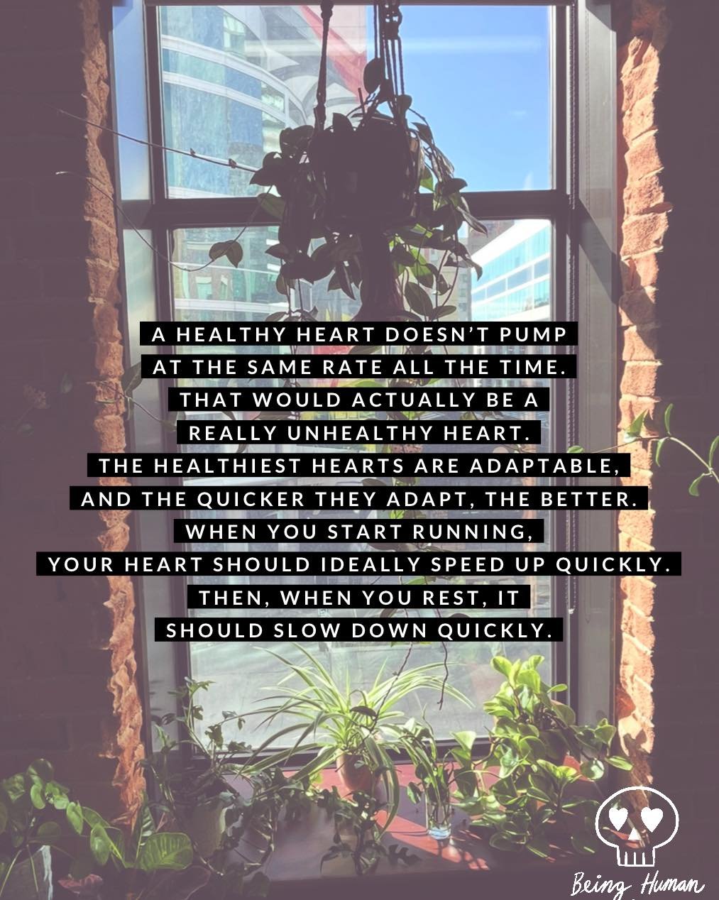 Healing isn&rsquo;t about being happy all the time or feeling nothing at all. It&rsquo;s about allowing yourself to fully feel what&rsquo;s appropriate - sadness after loss, anger at injustice, joy when it comes - and trusting that you can return to 