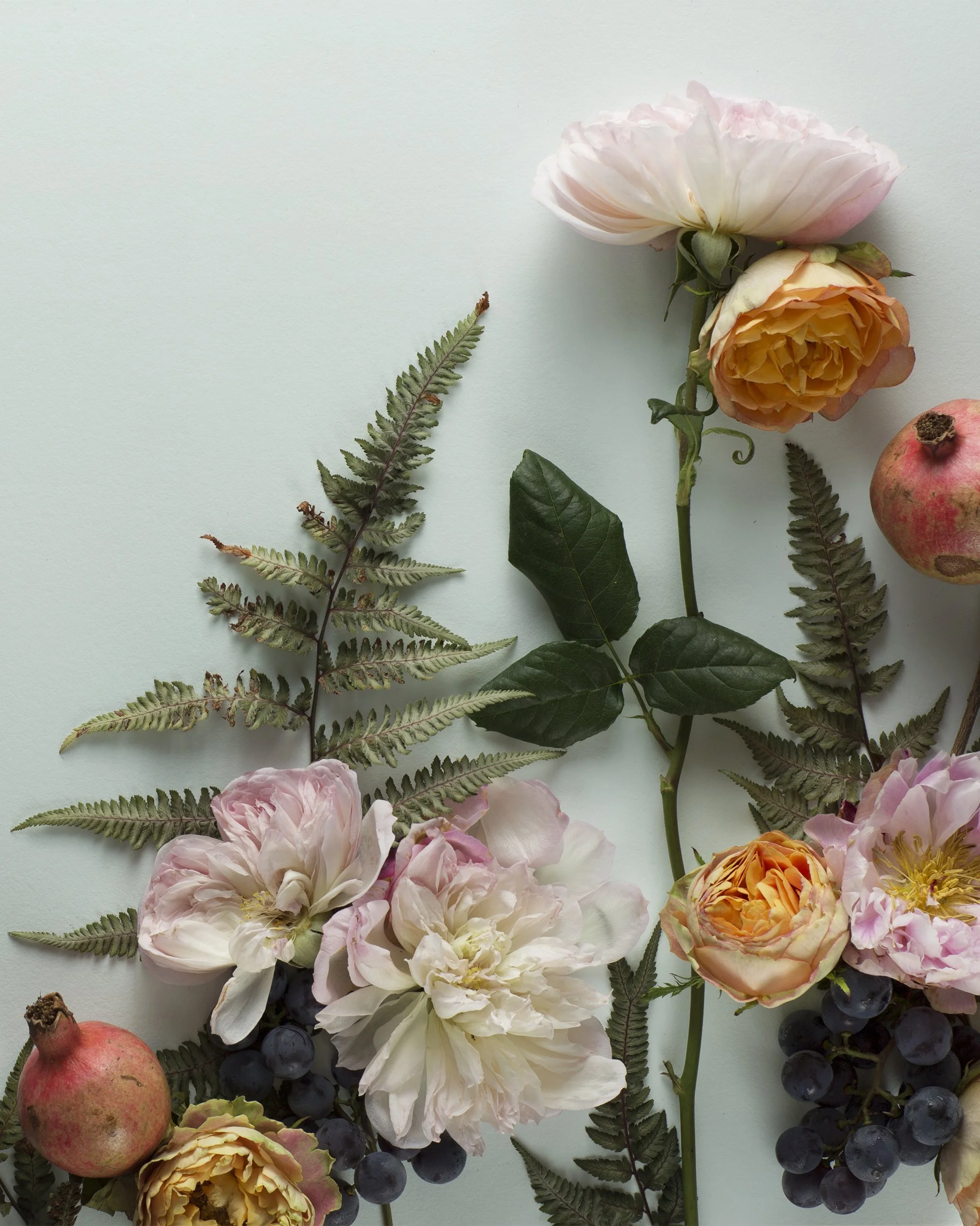 dark botanical_no_69_8x10.jpg