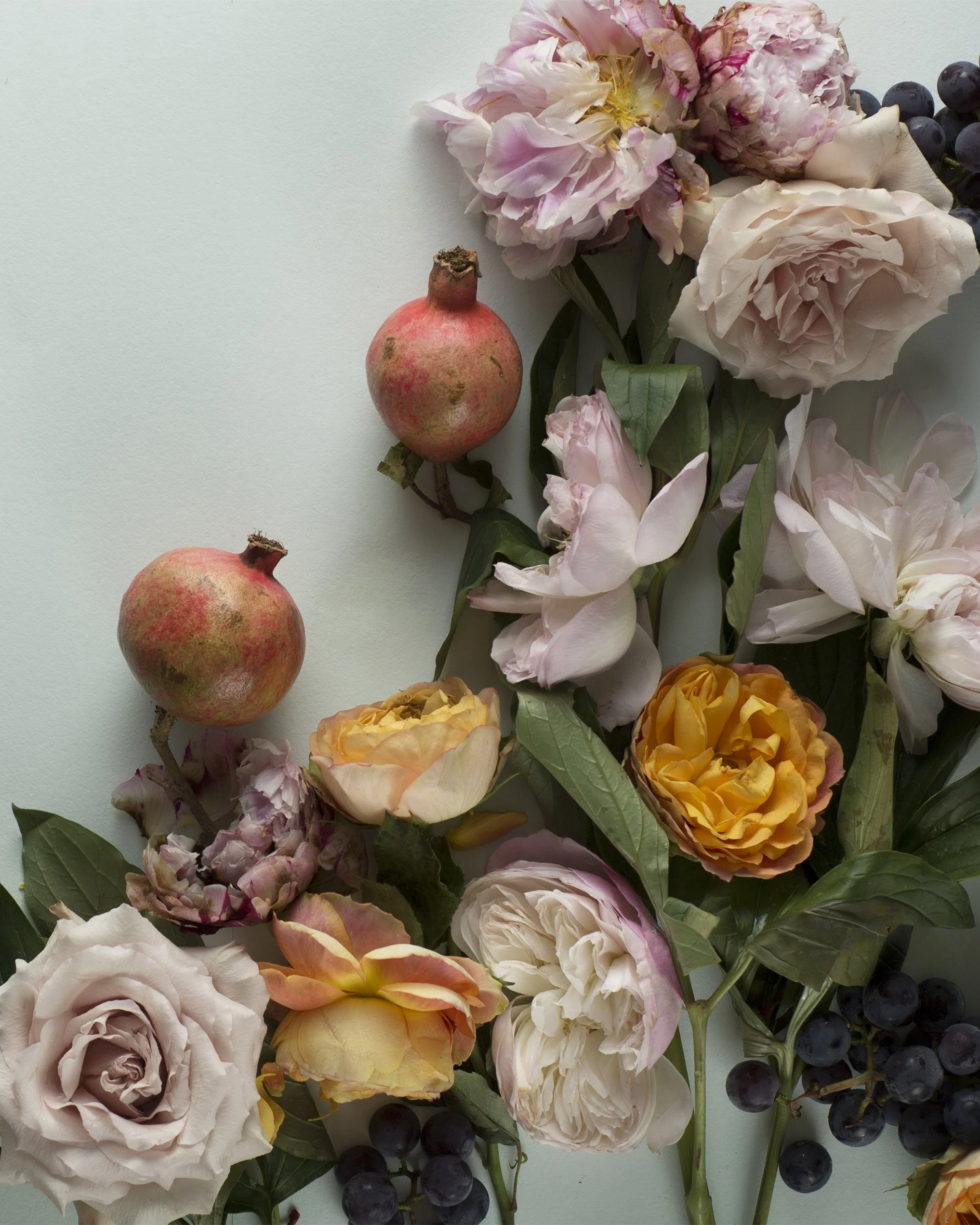 dark botanical_no_71_8x10.jpg