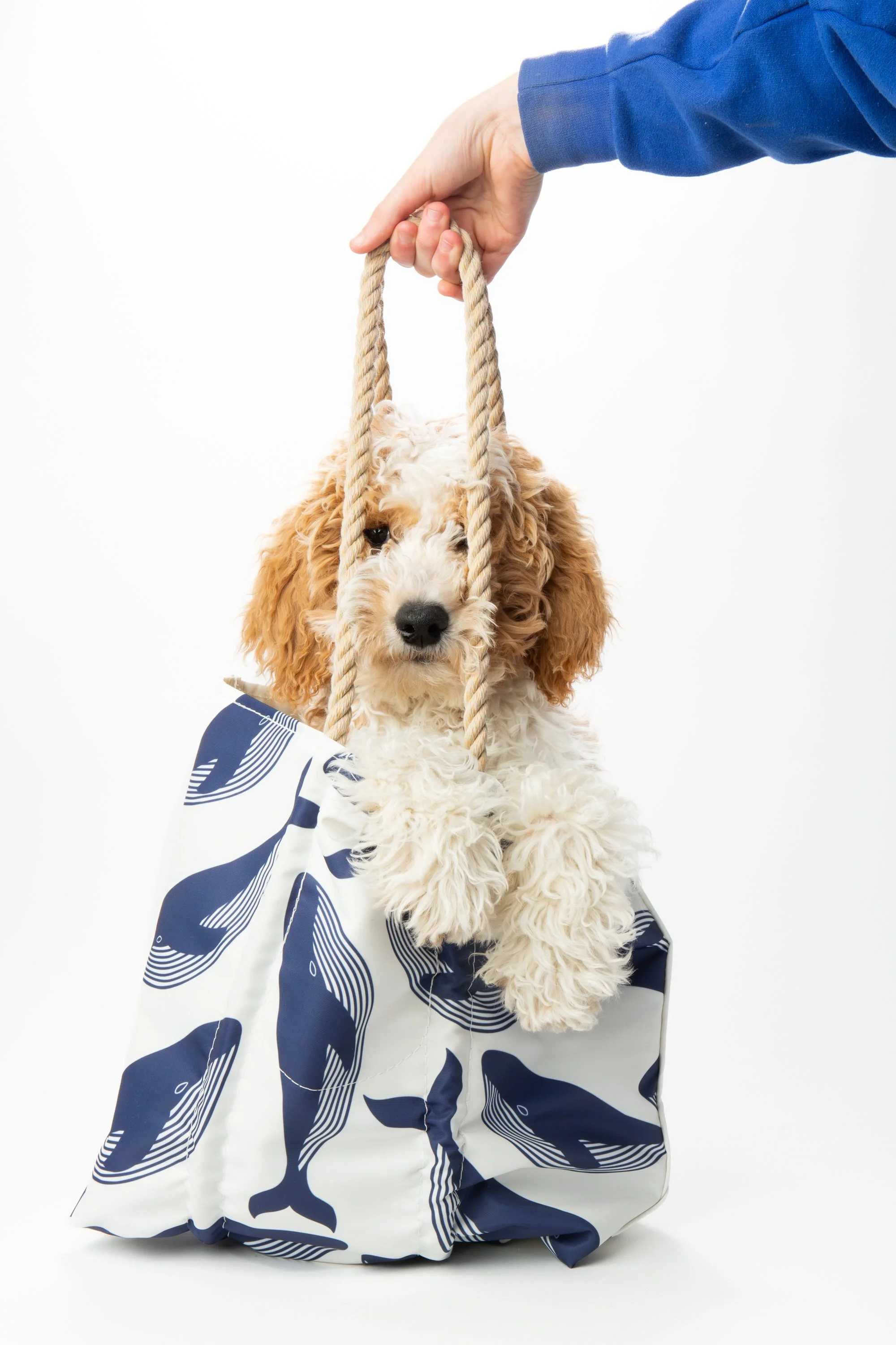 2025-katenelligan-kh -1065.jpg