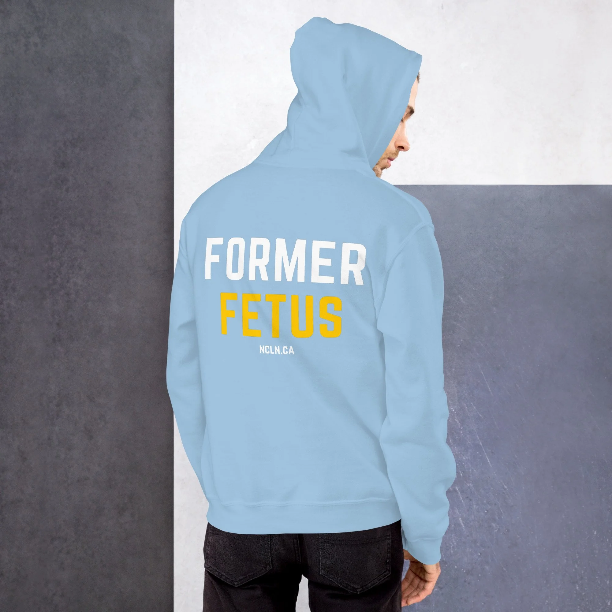 unisex-heavy-blend-hoodie-light-blue-back-66ce0f0a14e06.jpg