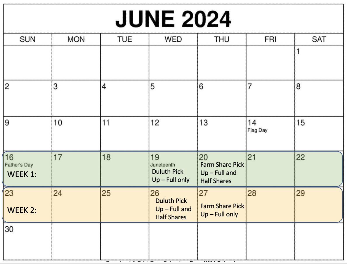 Screen Shot 2024-05-30 at 7.08.59 PM.png