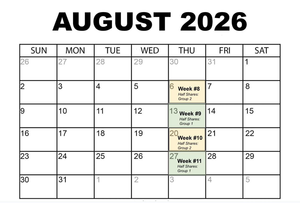 Screen Shot 2026-05-18 at 3.00.26 PM.png