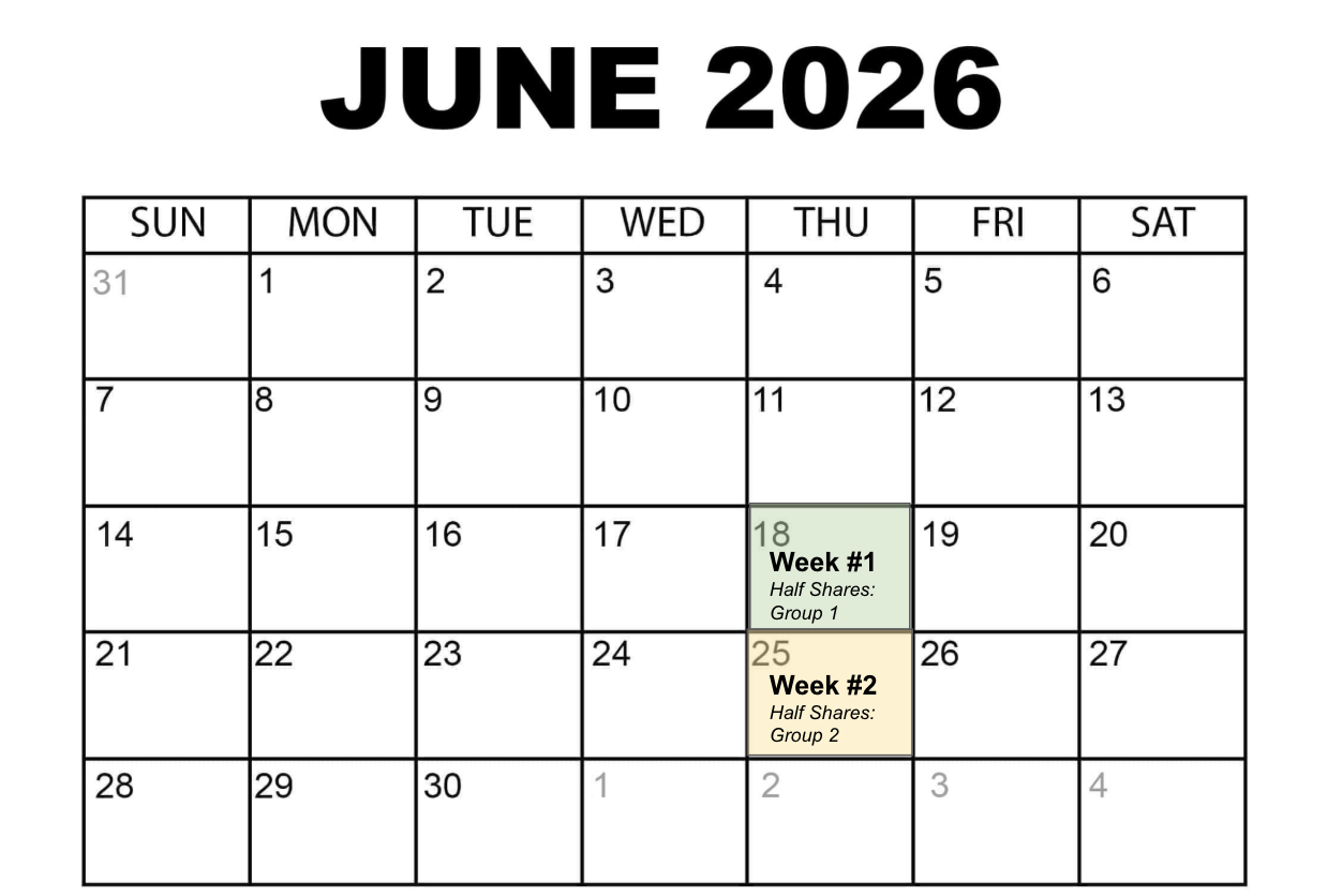 Screen Shot 2026-05-18 at 2.59.50 PM.png