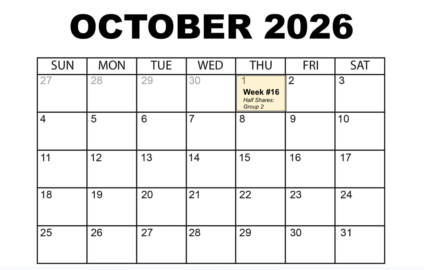 Screen Shot 2026-05-18 at 3.00.58 PM.png
