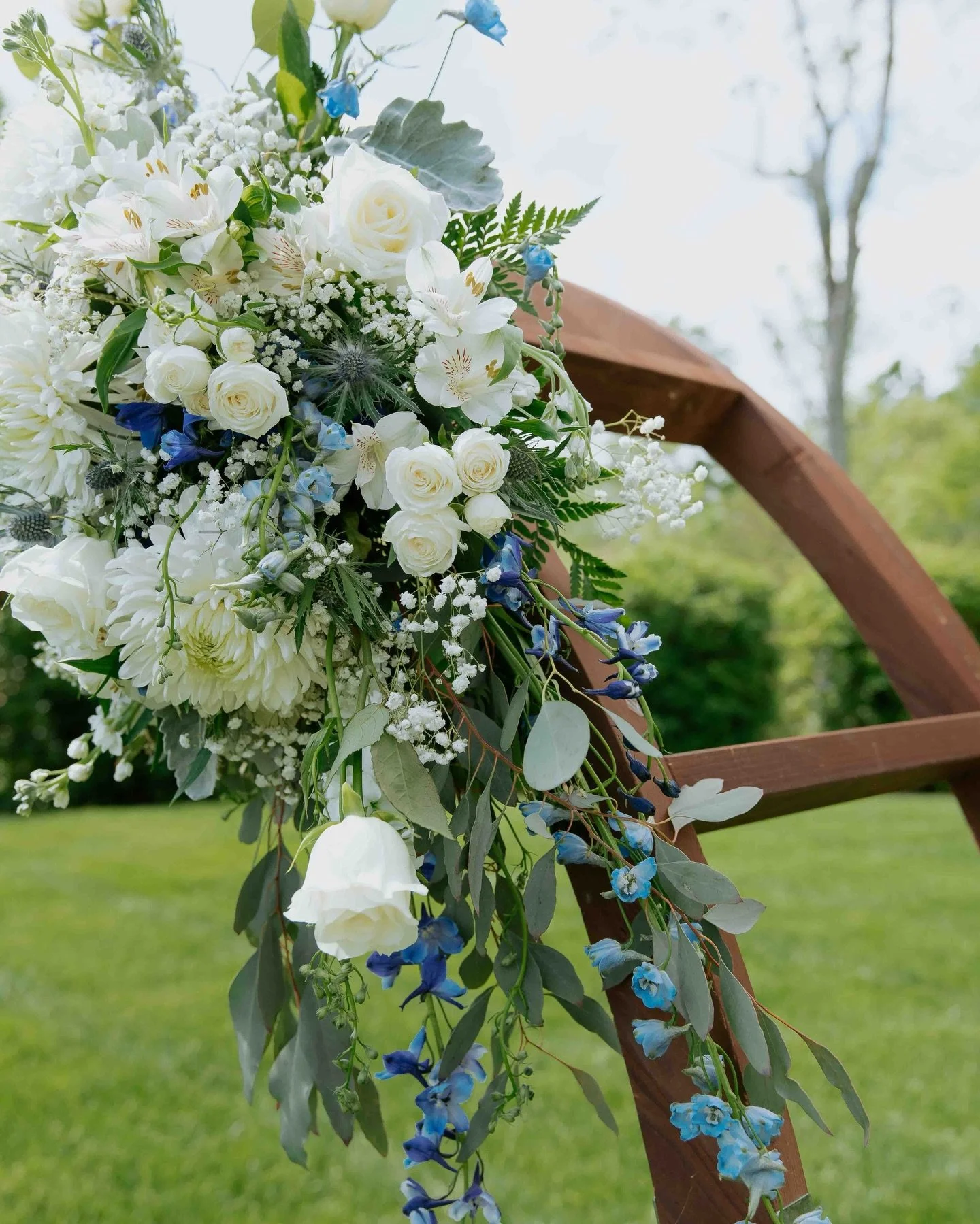 Spring is here and I&rsquo;m ✨thriving✨ 🌸

Goodbye winter, you will not be missed.
.
.
.
#WeddingPhotographer #WeddingInspiration #BrideAndGroom #NorthCarolinaWeddings #triadweddingsmagazine