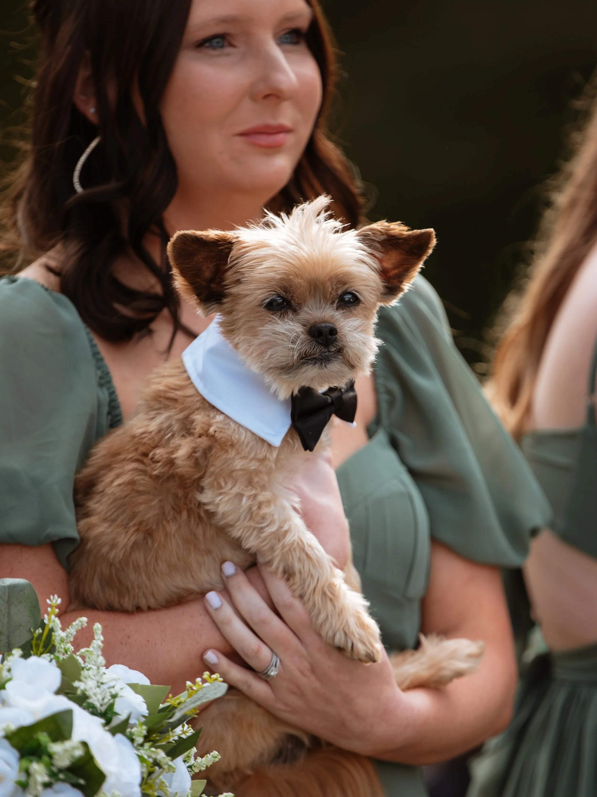 Tiny tux. Big wedding energy. 🖤📸

#weddingphotography #ncphotography #ncweddingphotography #winstonsalemnc #weddingparty