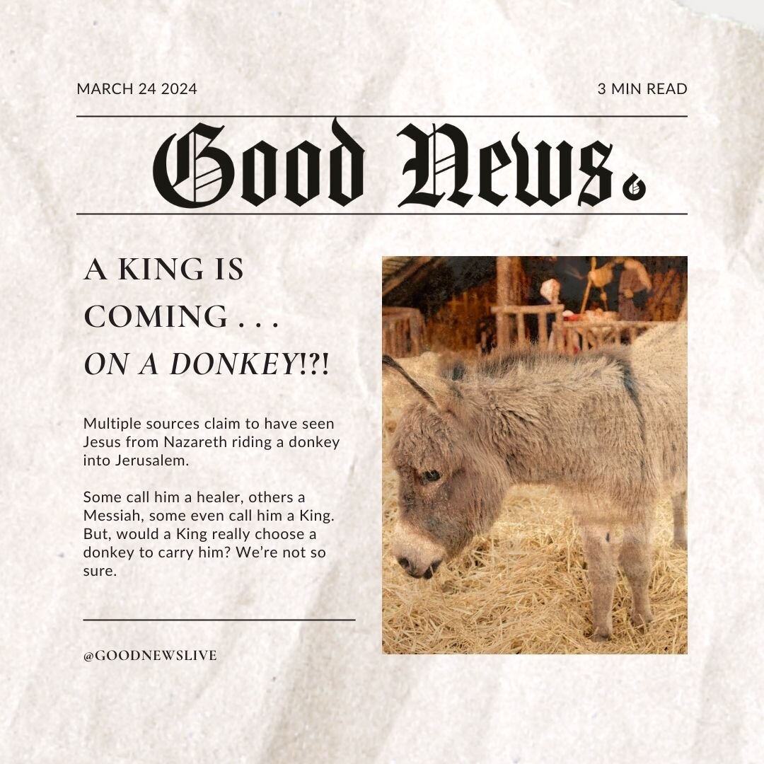 We are back at Oceanway Church reporting LIVE about a Breaking News story. 🚨

The one they call &quot;Jesus of Nazareth&quot; was seen riding on a donkey into Jerusalem. We have multiple witnesses. It is even rumored that the people were throwing do