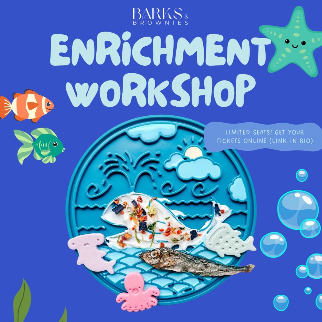 Barks & Brownies Enrichment Workshop