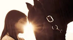 EQUINE LEADERSHIP.jpg